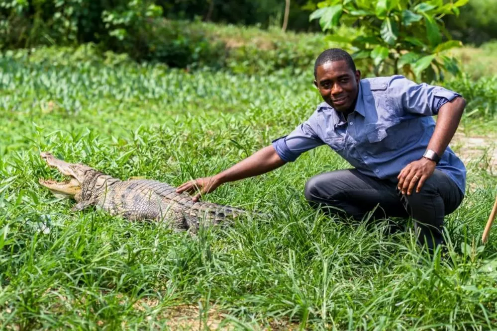 Animals in Hans Cottage Botel