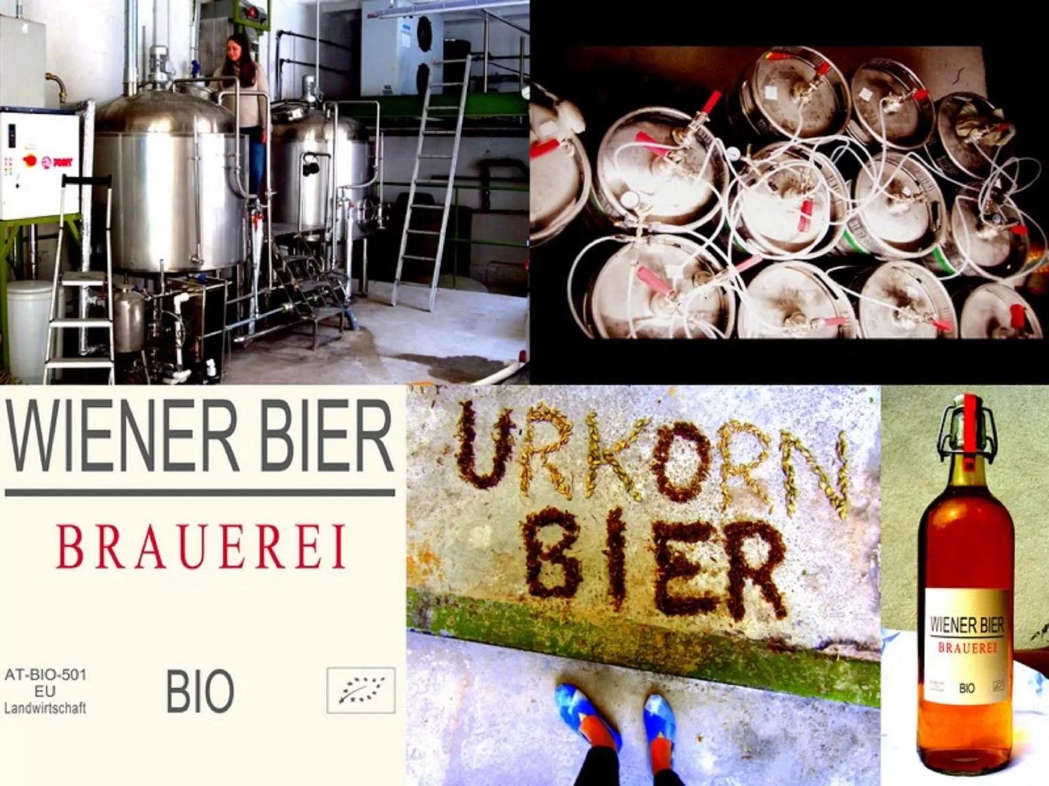 Area and facilities in Wiener Gäste Zimmer