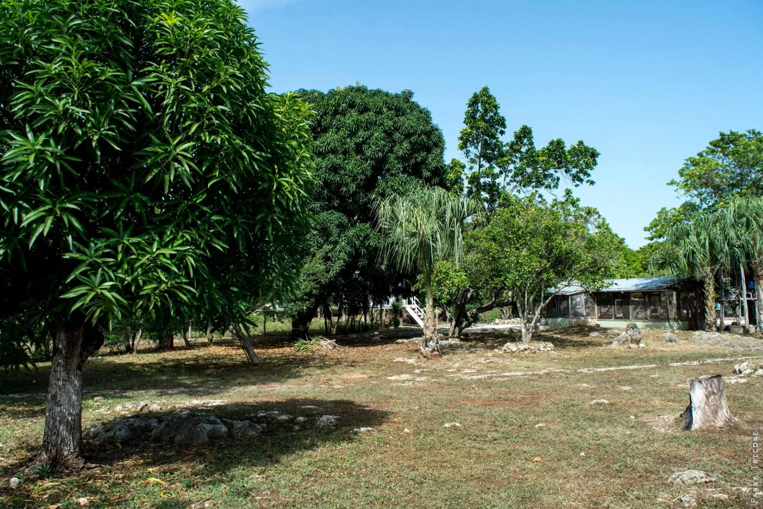 Property building in Horse Cottage