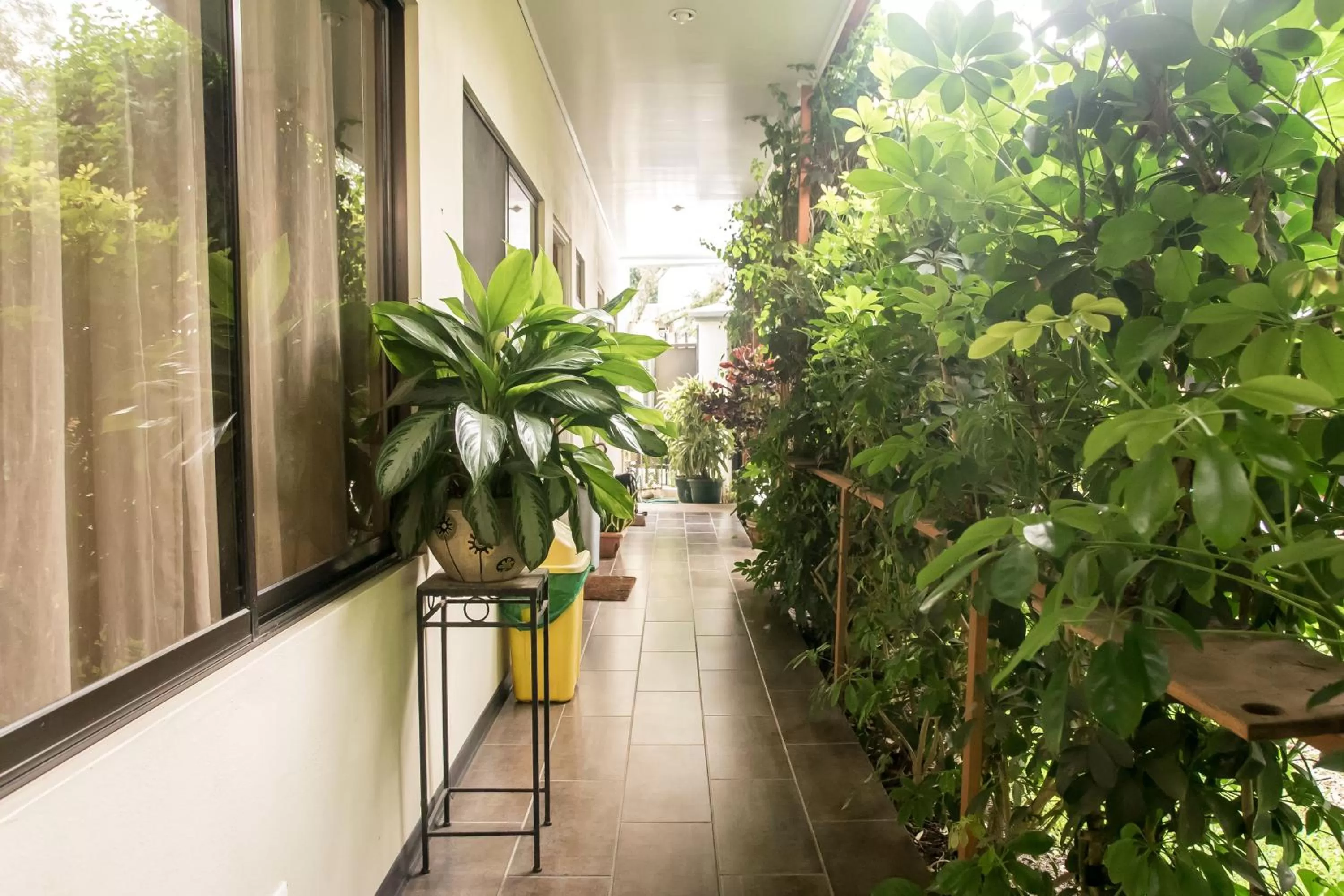 Balcony/Terrace in Terida Airport B&B