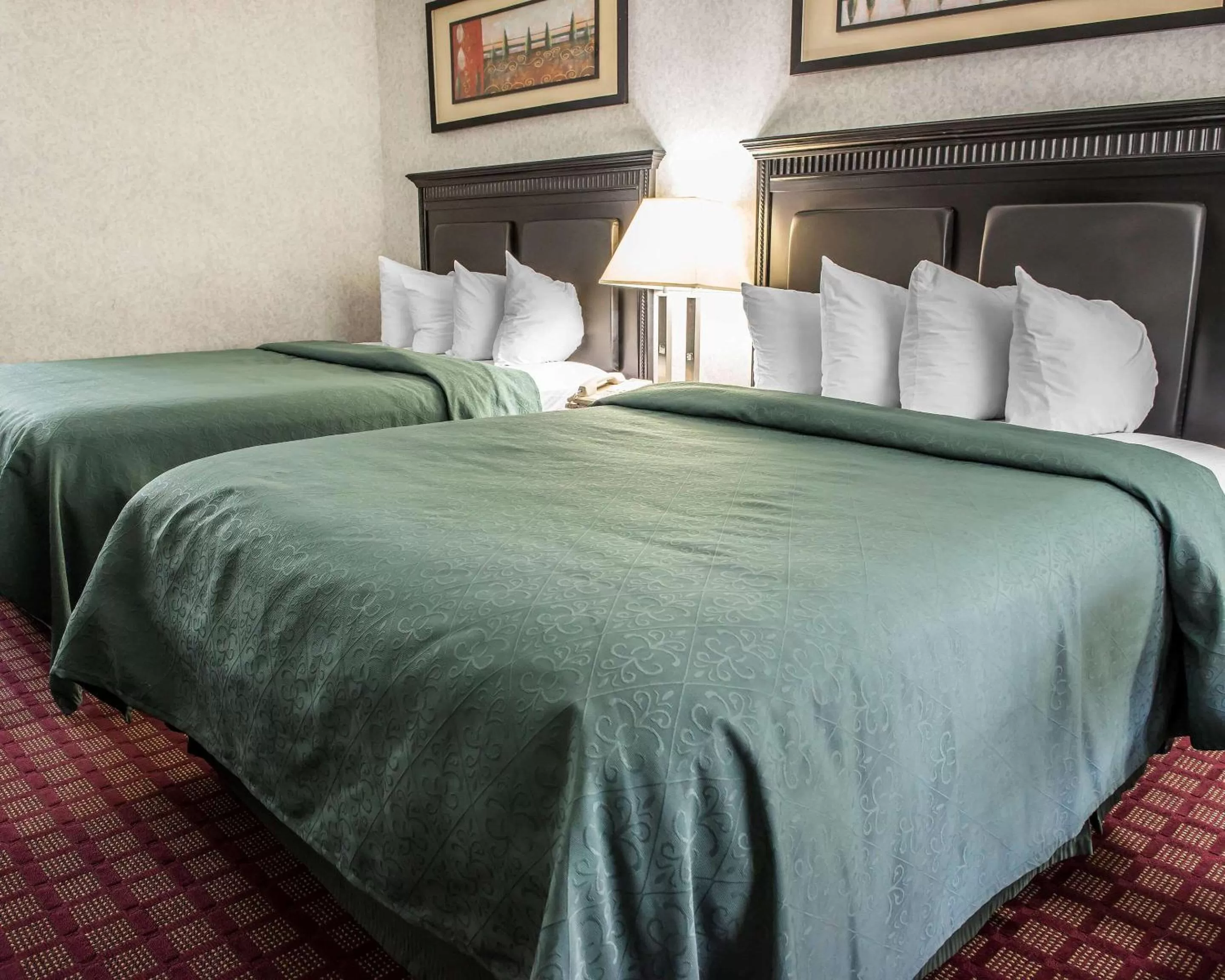 Photo of the whole room, Bed in Quality Inn & Suites Gibsonia - Pittsburgh North