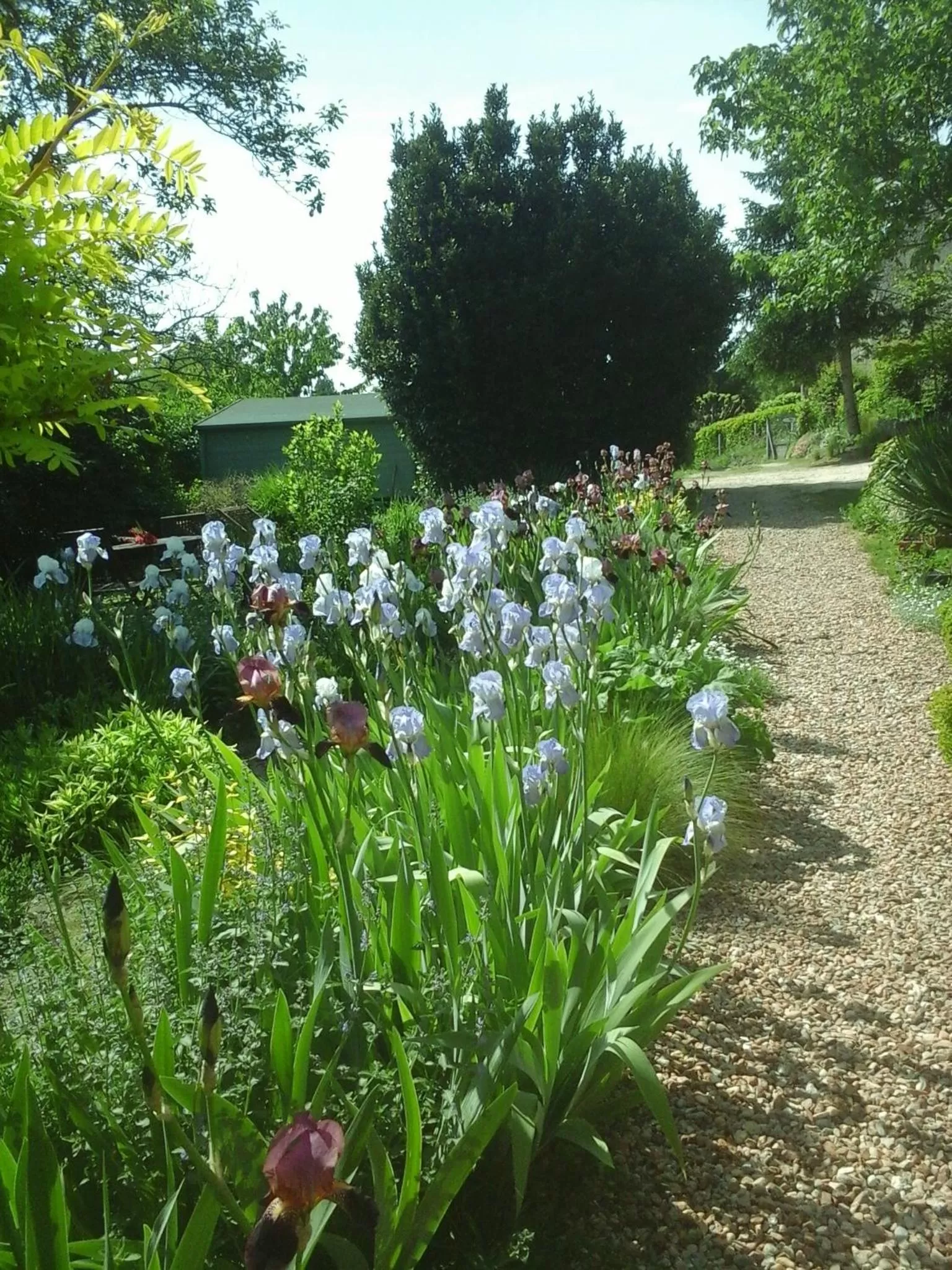 Garden in Troglodelice