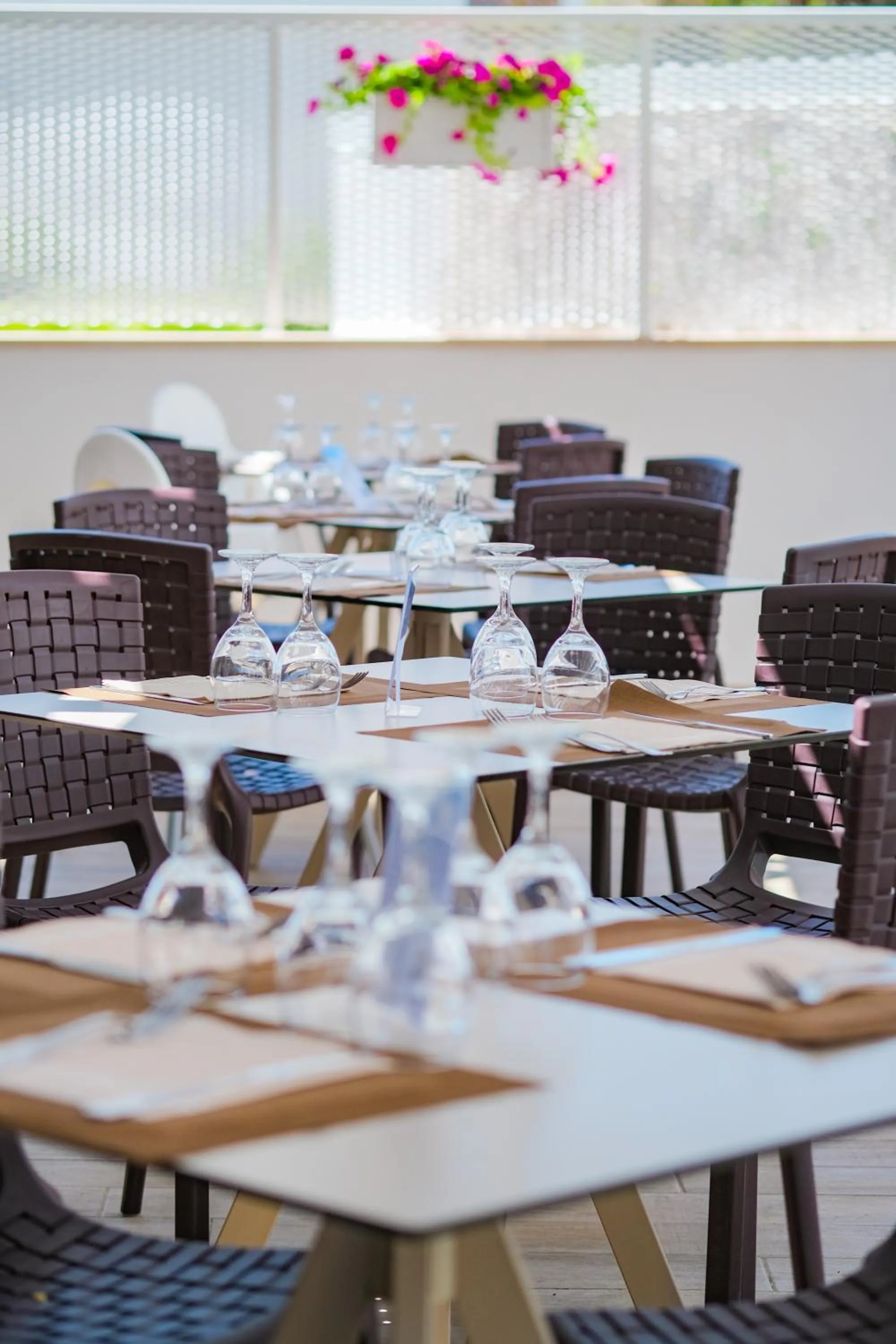 Restaurant/places to eat in Ticho's Greenblu Hotel