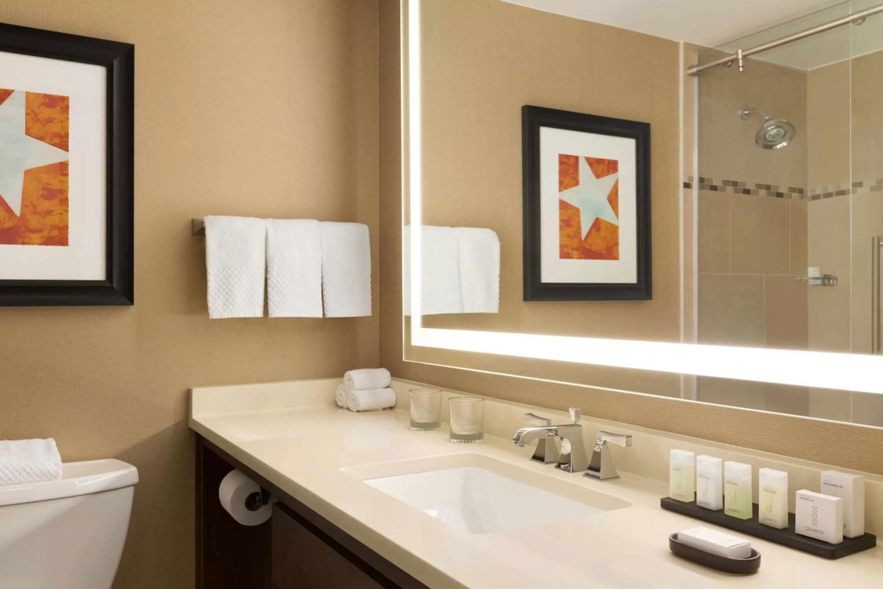 Bathroom in Embassy Suites by Hilton Austin Downtown South Congress