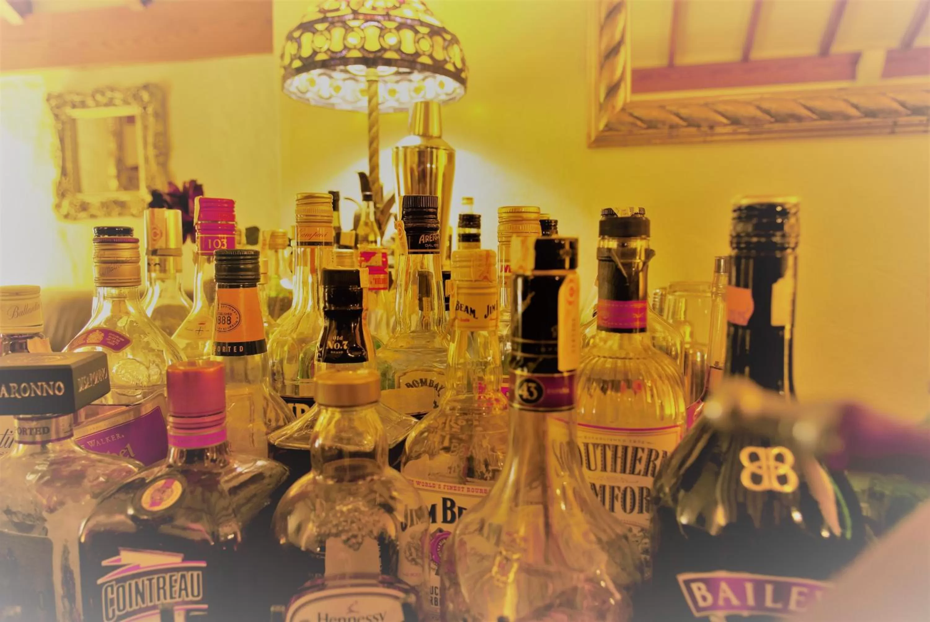 Birdcage Gay Men Resort and Lifestyle Hotel