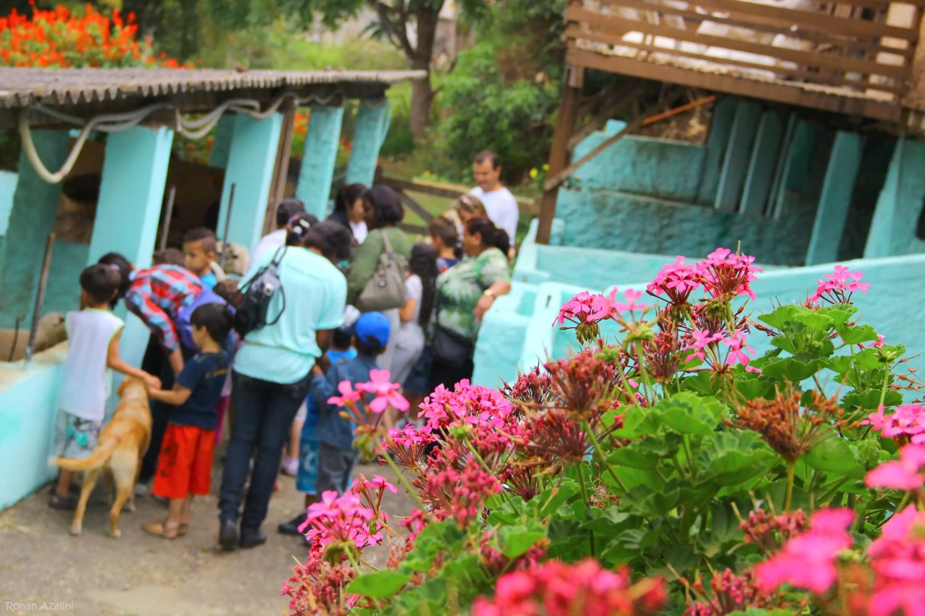 Property building in Lagoa Seca Hotel Rural