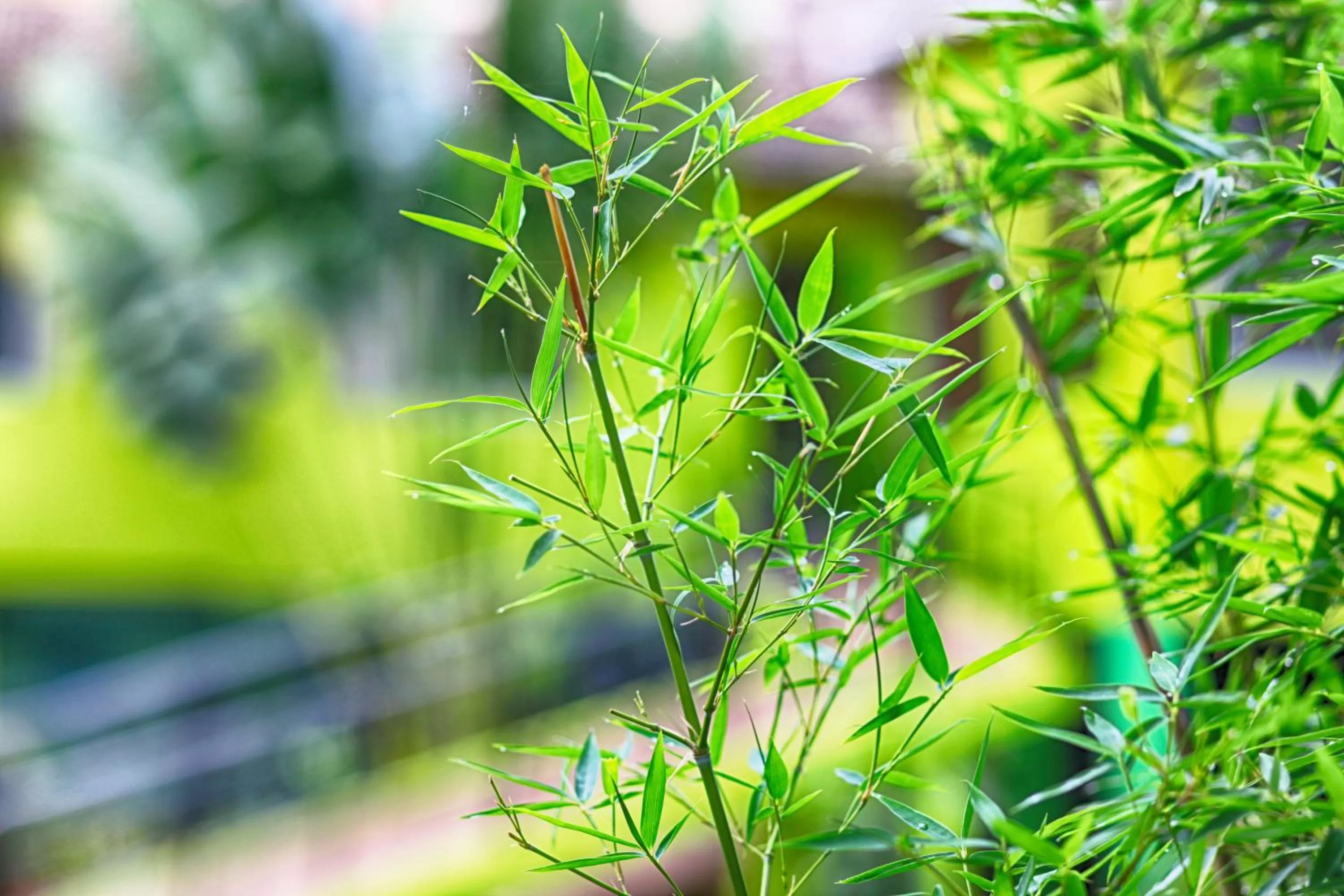 Other in Appleton Resort