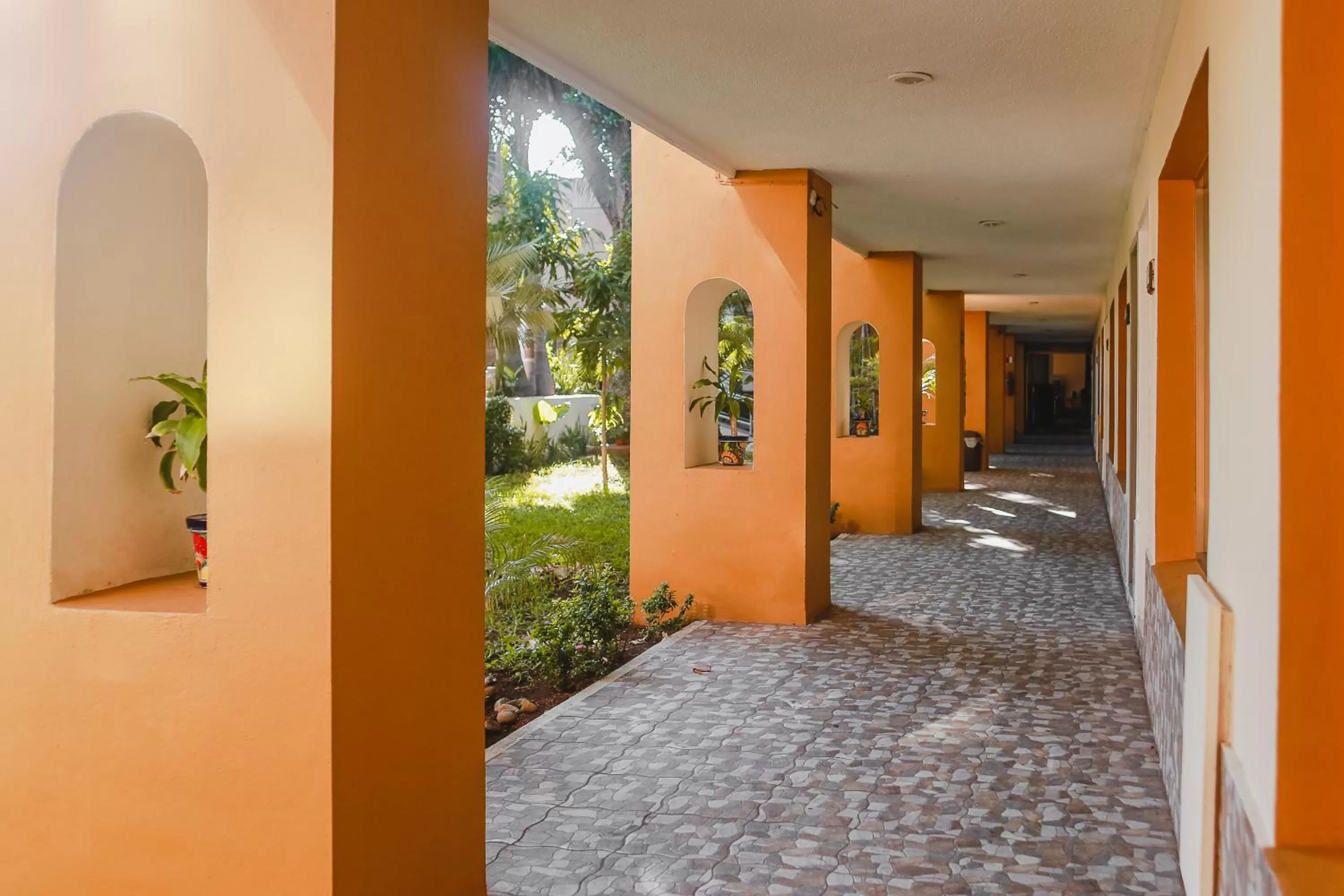 Garden in Hotel Plaza Mirador