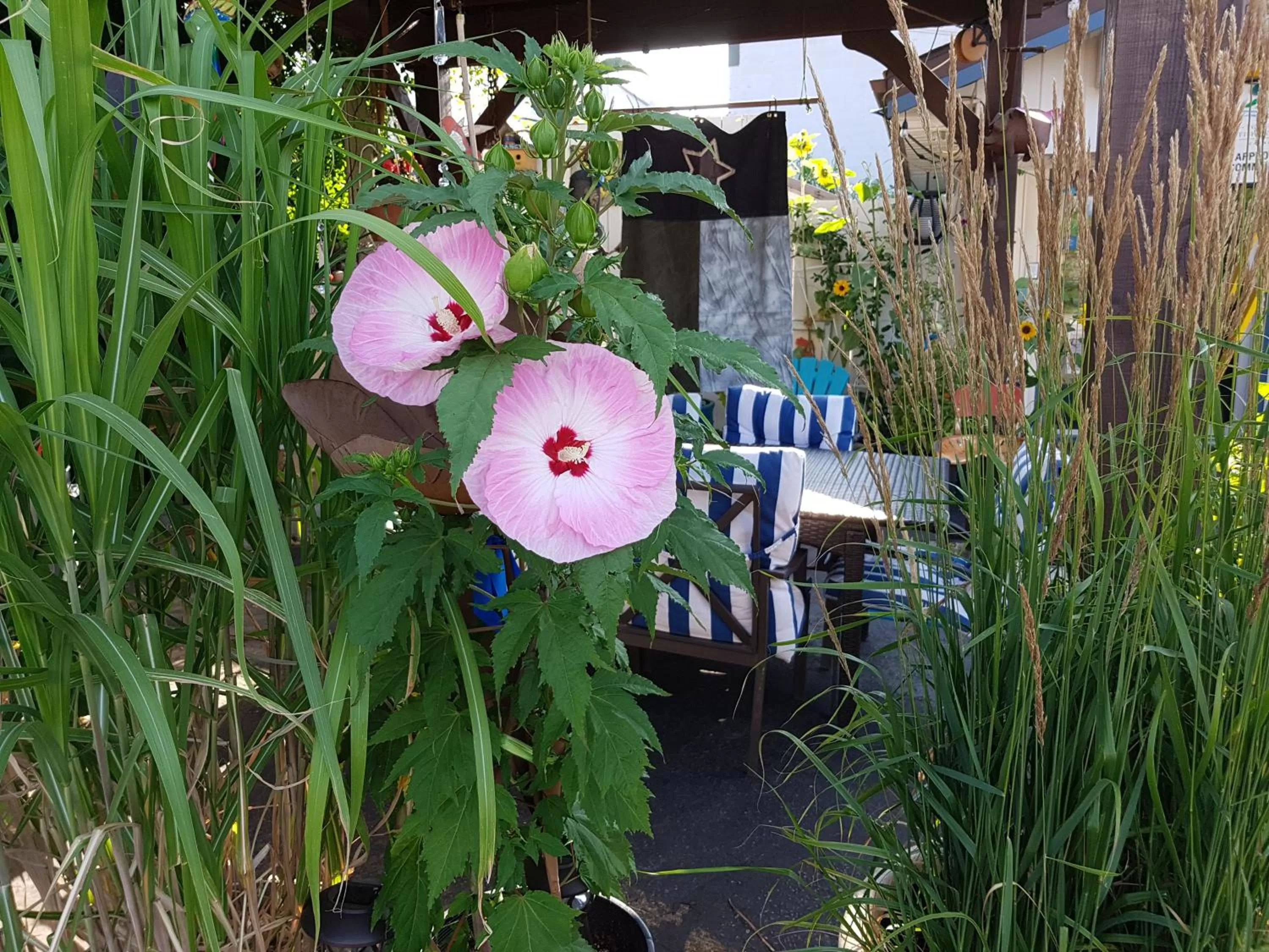 Garden in Creston Valley Motel