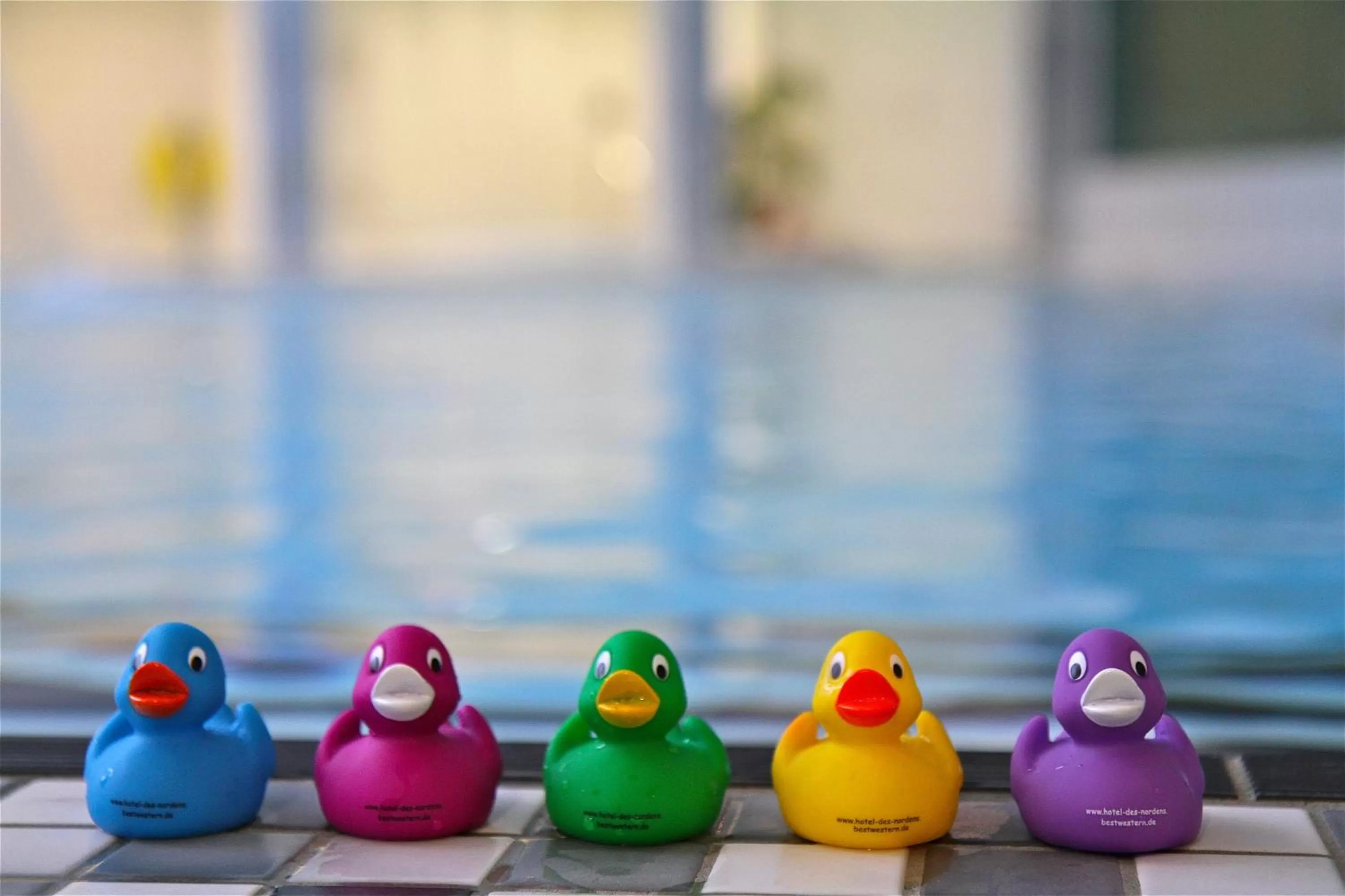 Decorative detail in Hotel des Nordens Flensburg Wellness & Spa