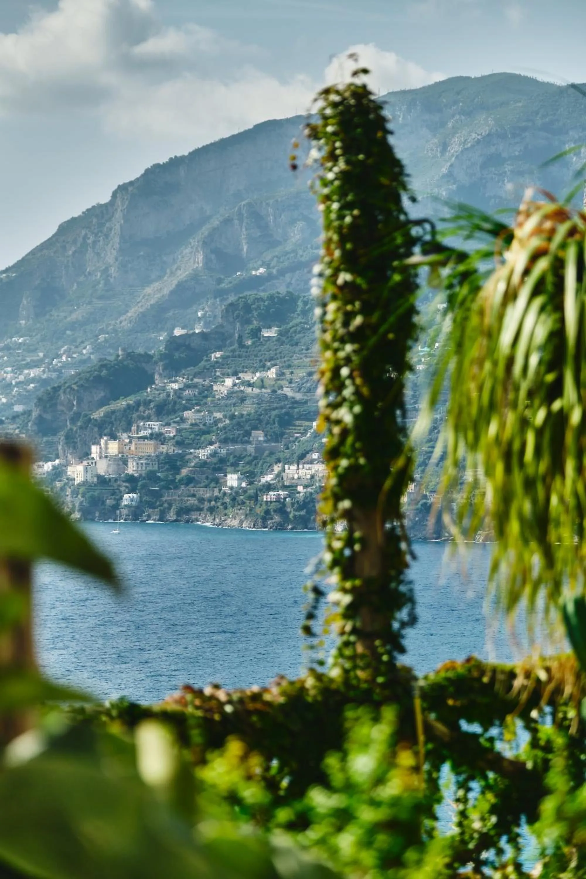 View (from property/room) in Hotel Botanico San Lazzaro