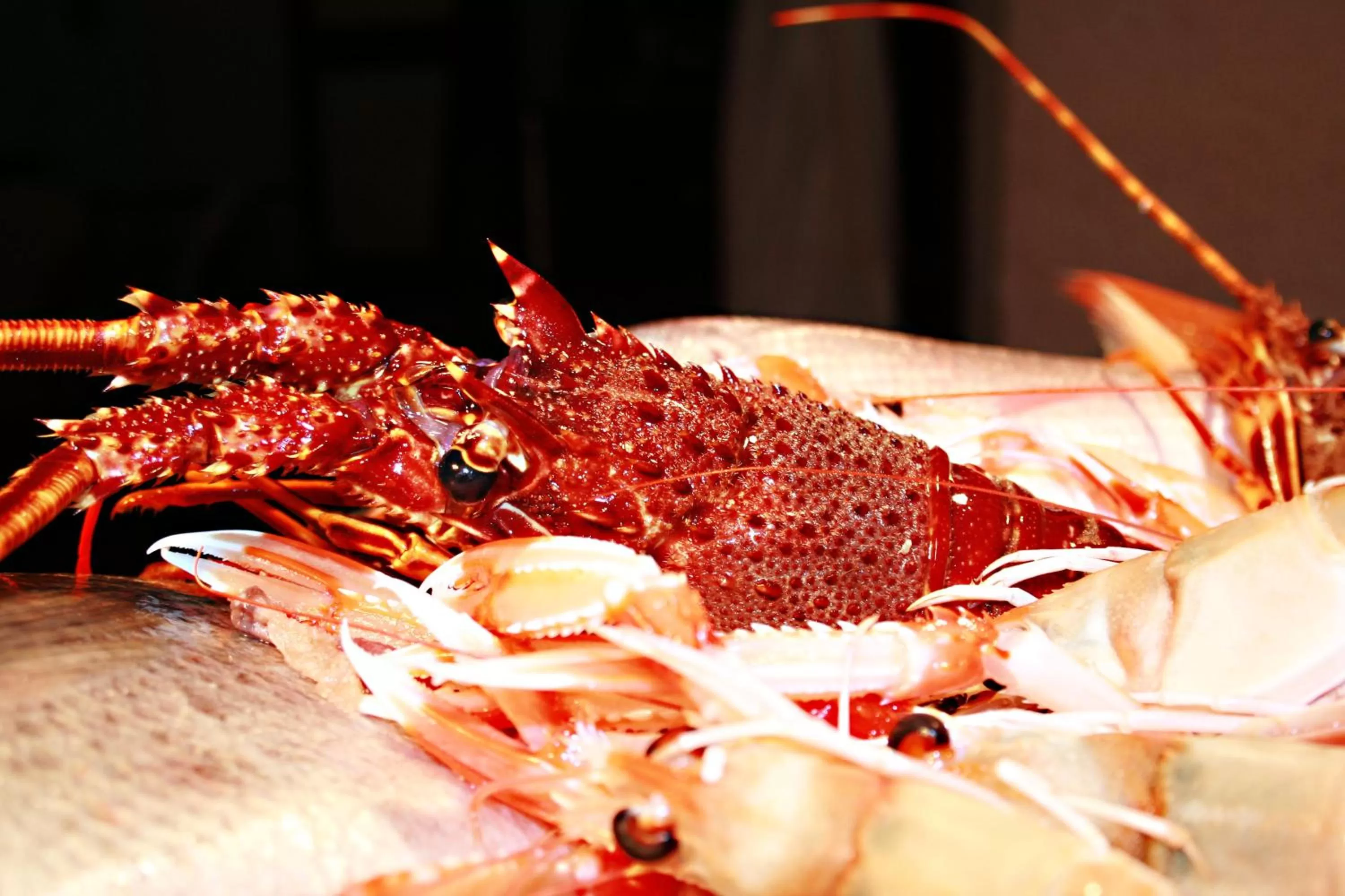 Restaurant/places to eat in Hotel Il Ceppo