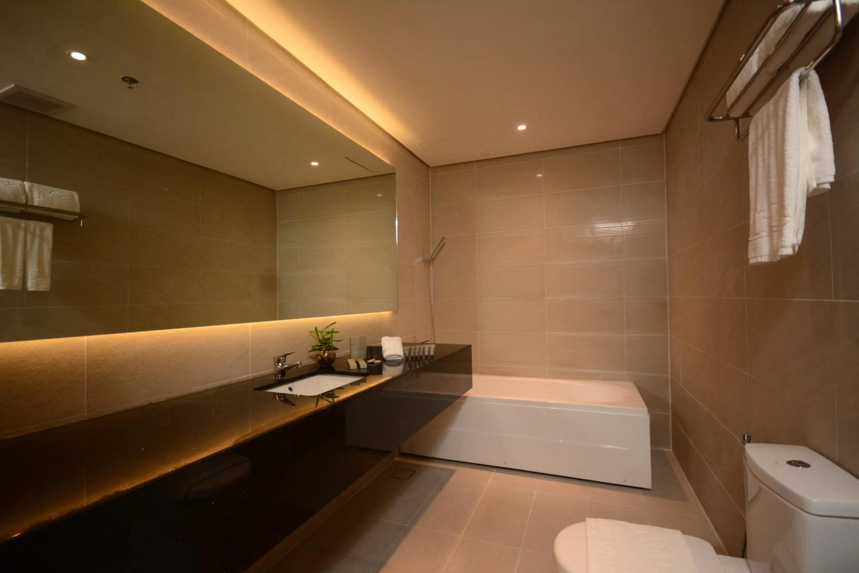 Toilet in Blue Lotus Hotel