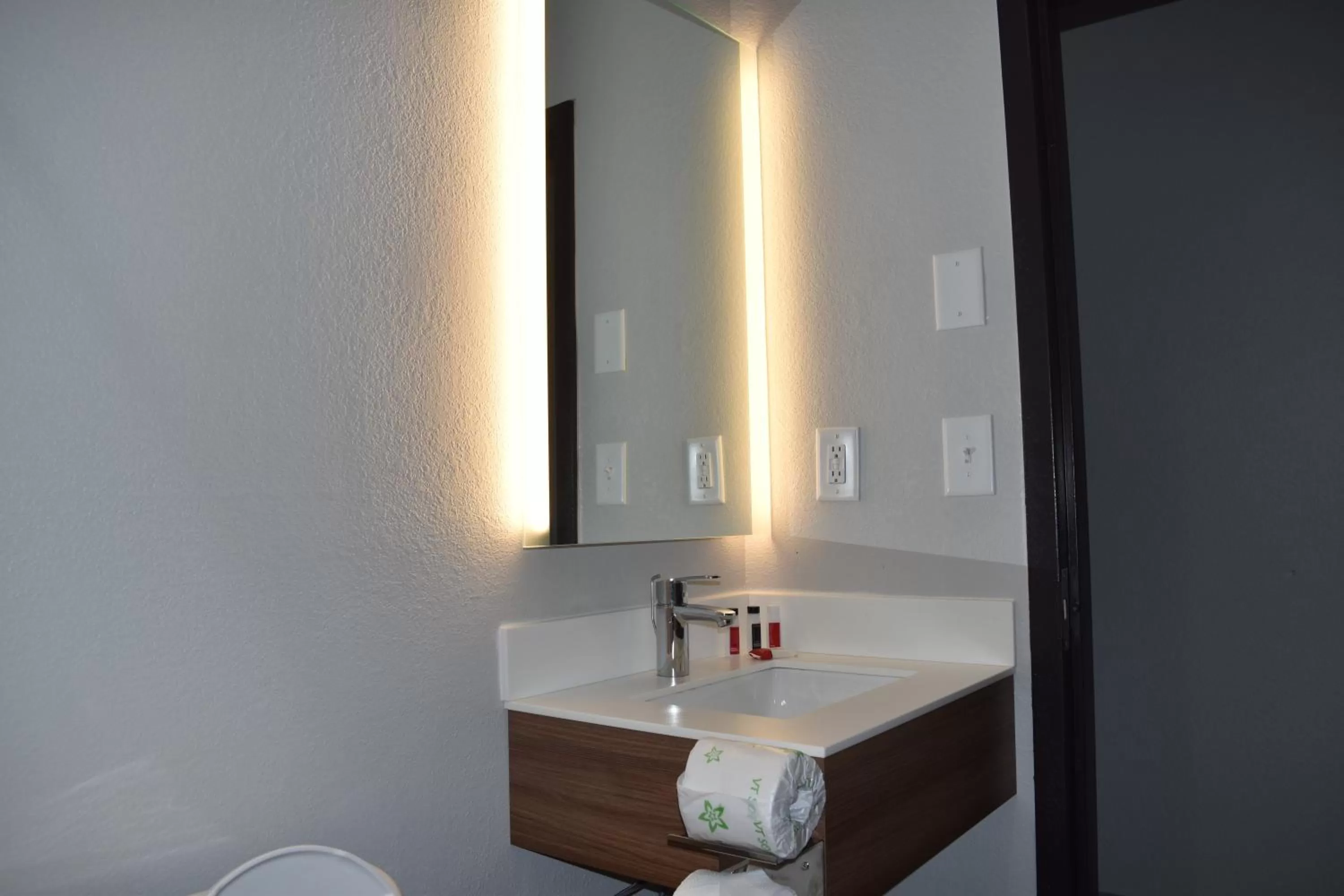 Bathroom in Microtel Inn & Suites by Wyndham Stockbridge/Atlanta I-75