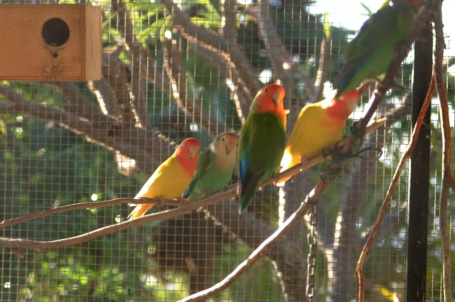 Garden in Jardin de Aridane
