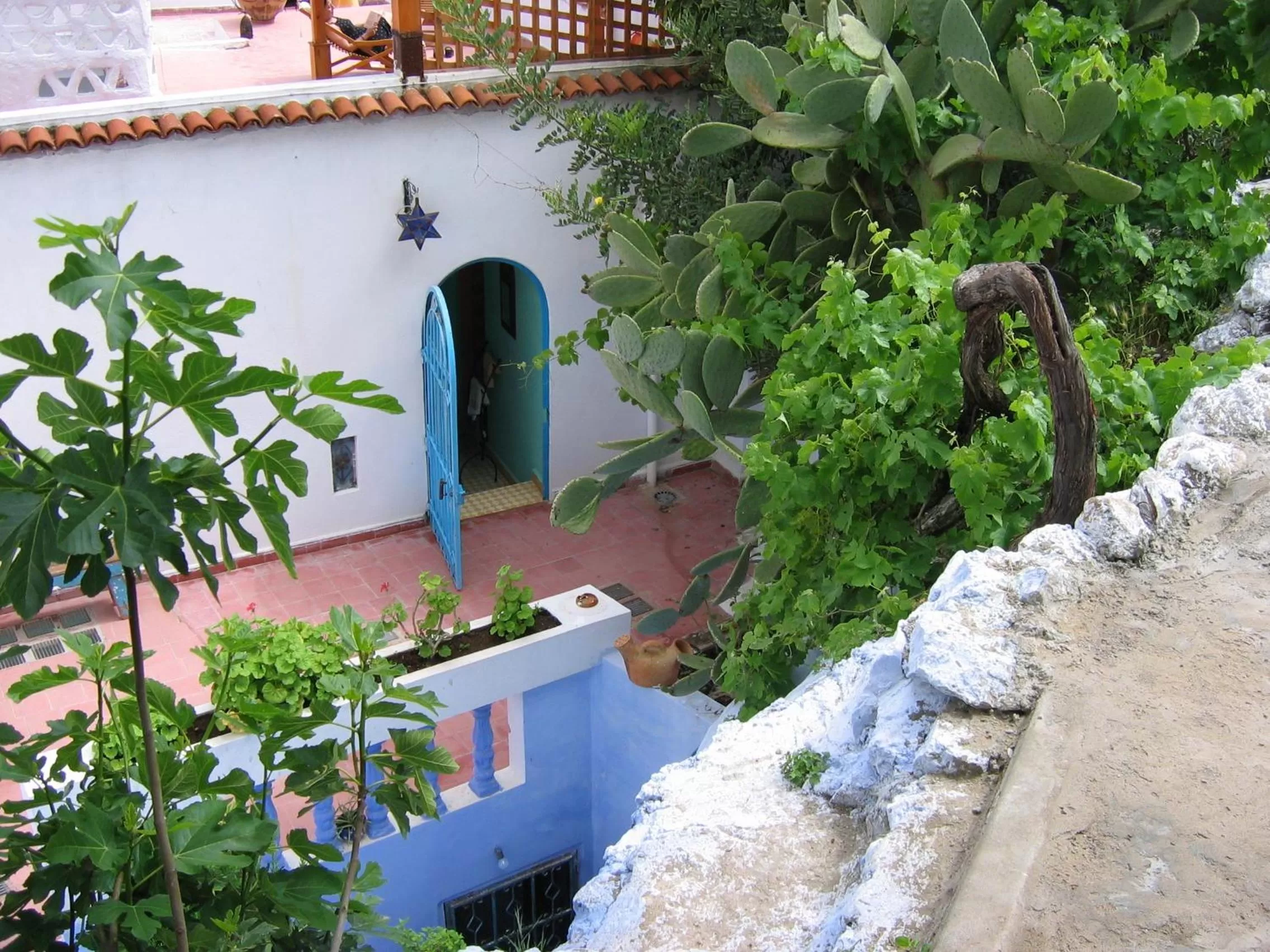 Bird's eye view in Dar Dalia