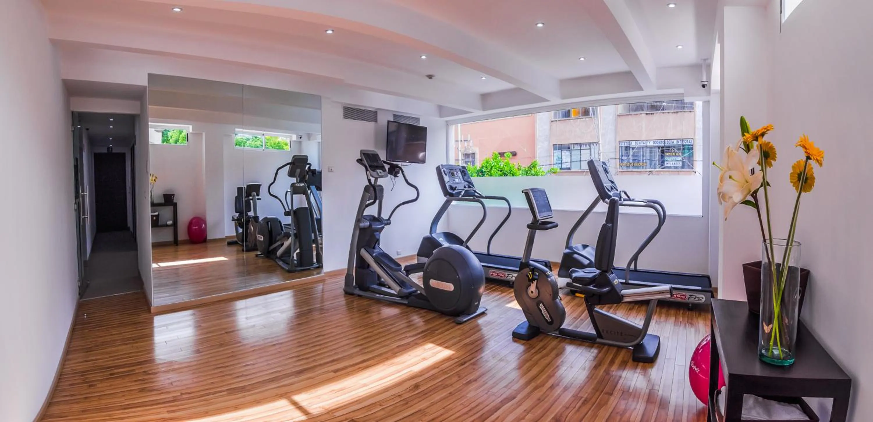 Fitness centre/facilities in Hotel Zenith