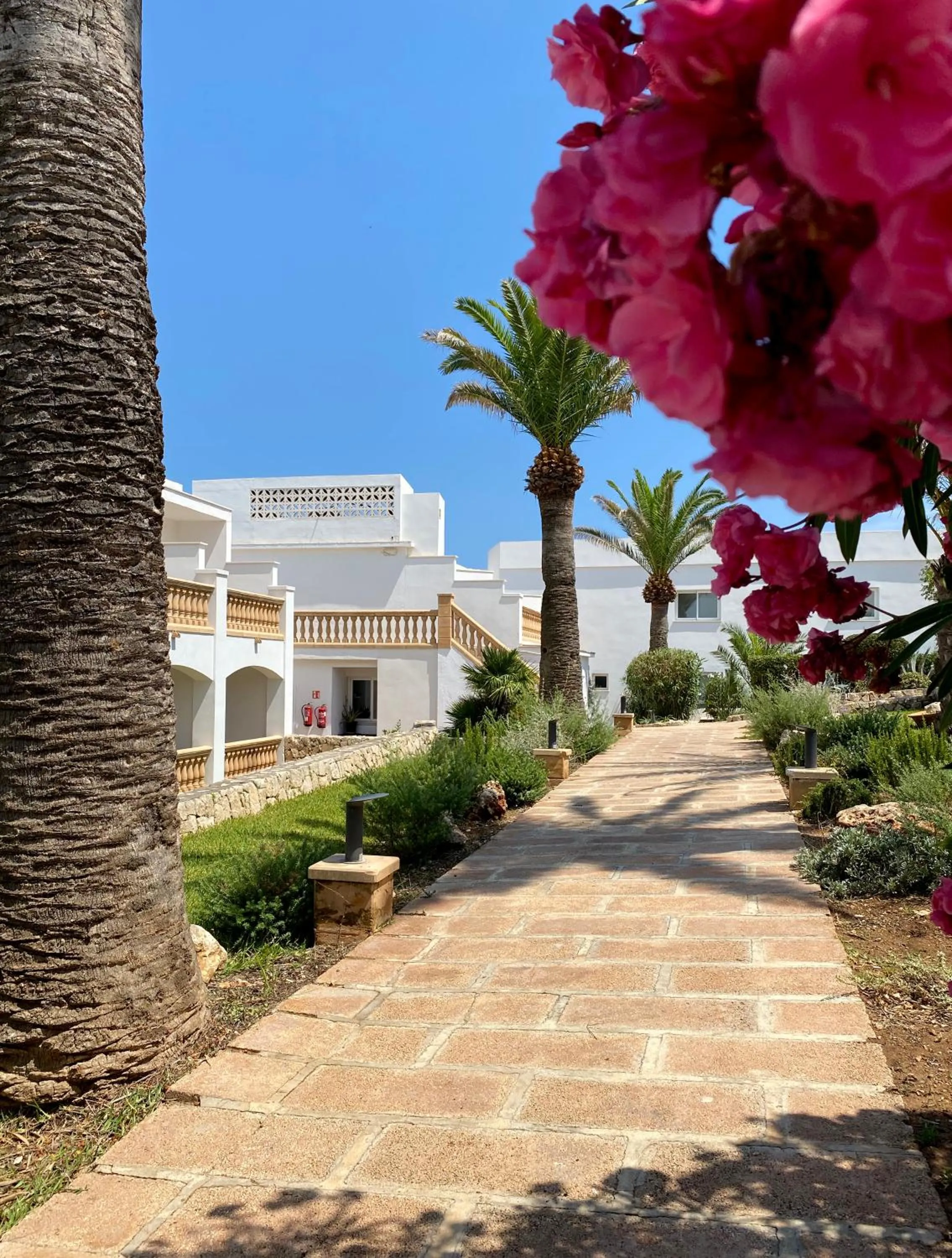 Property building in ICON Valparaiso - Adults Only