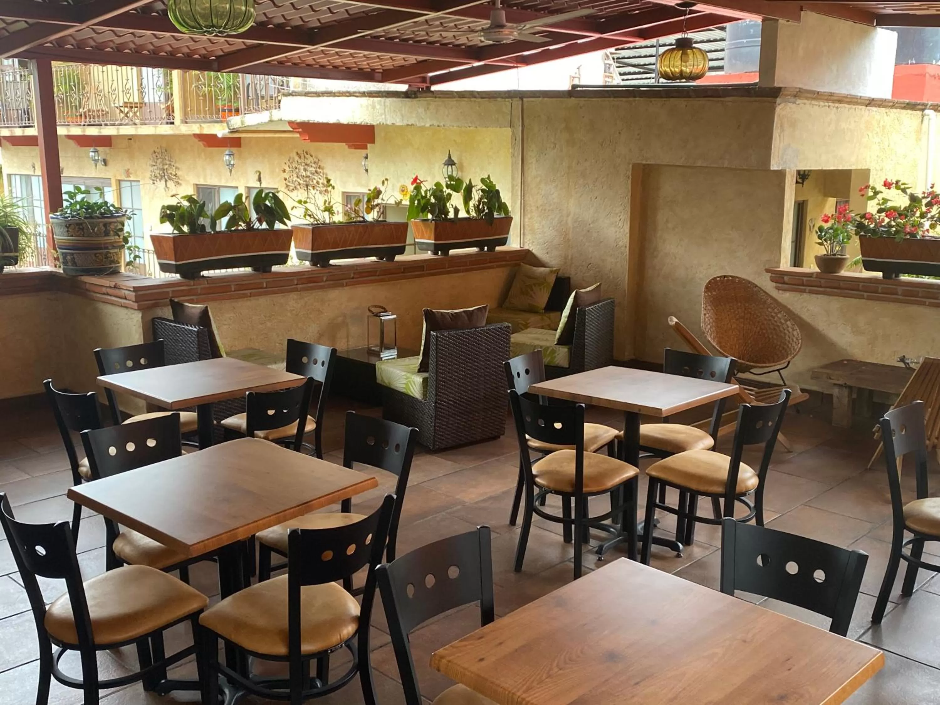 Restaurant/Places to Eat in Flor de Cera