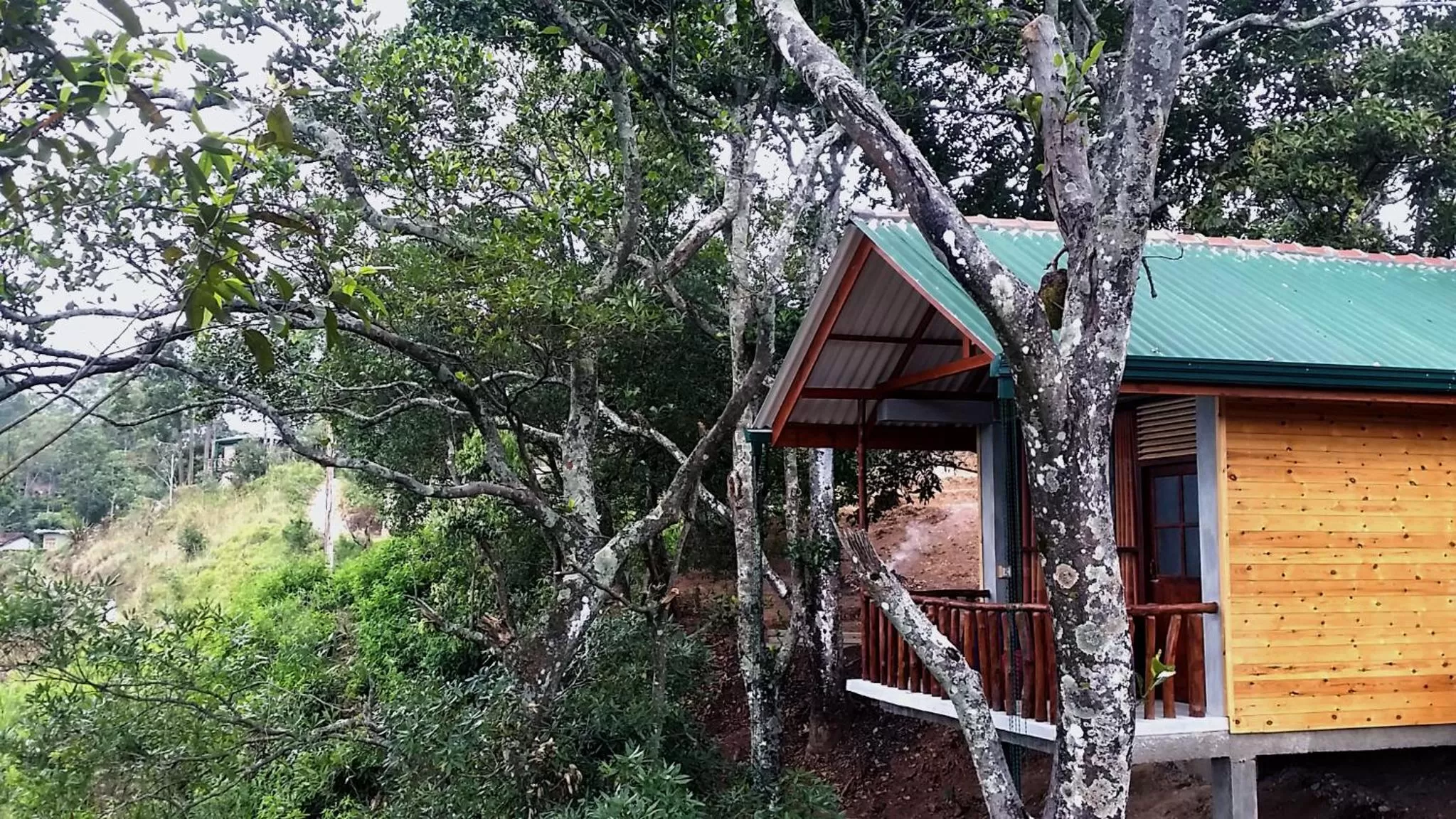 Property building in Saffron Eco Cottage