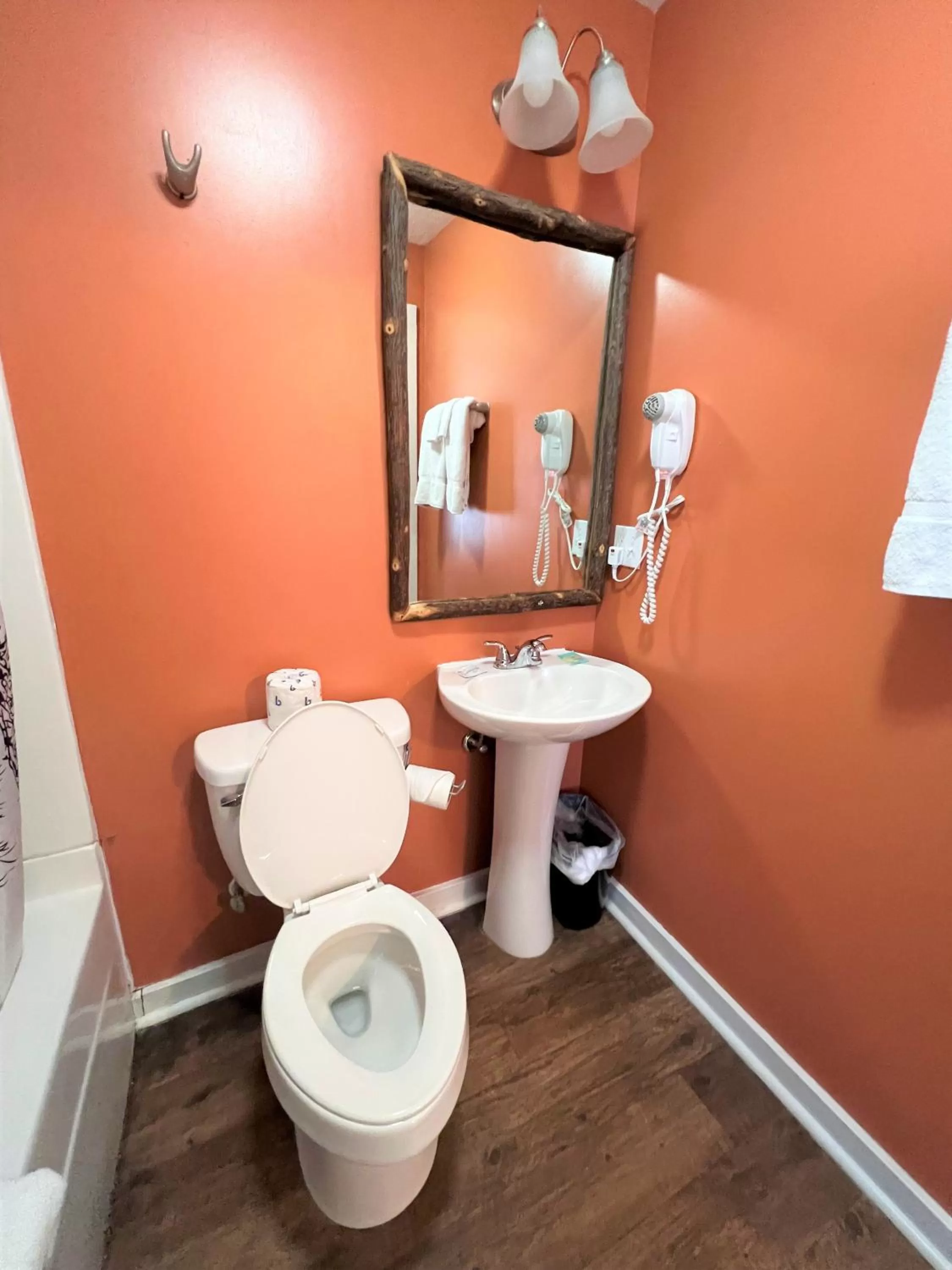 Toilet in Mountain Top Inn and Resort