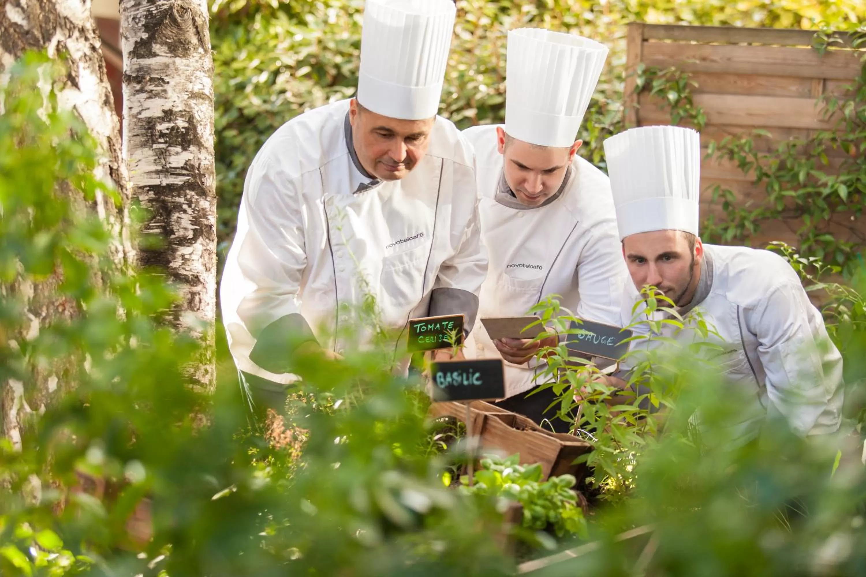 Staff in Novotel Paris La Defense Esplanade