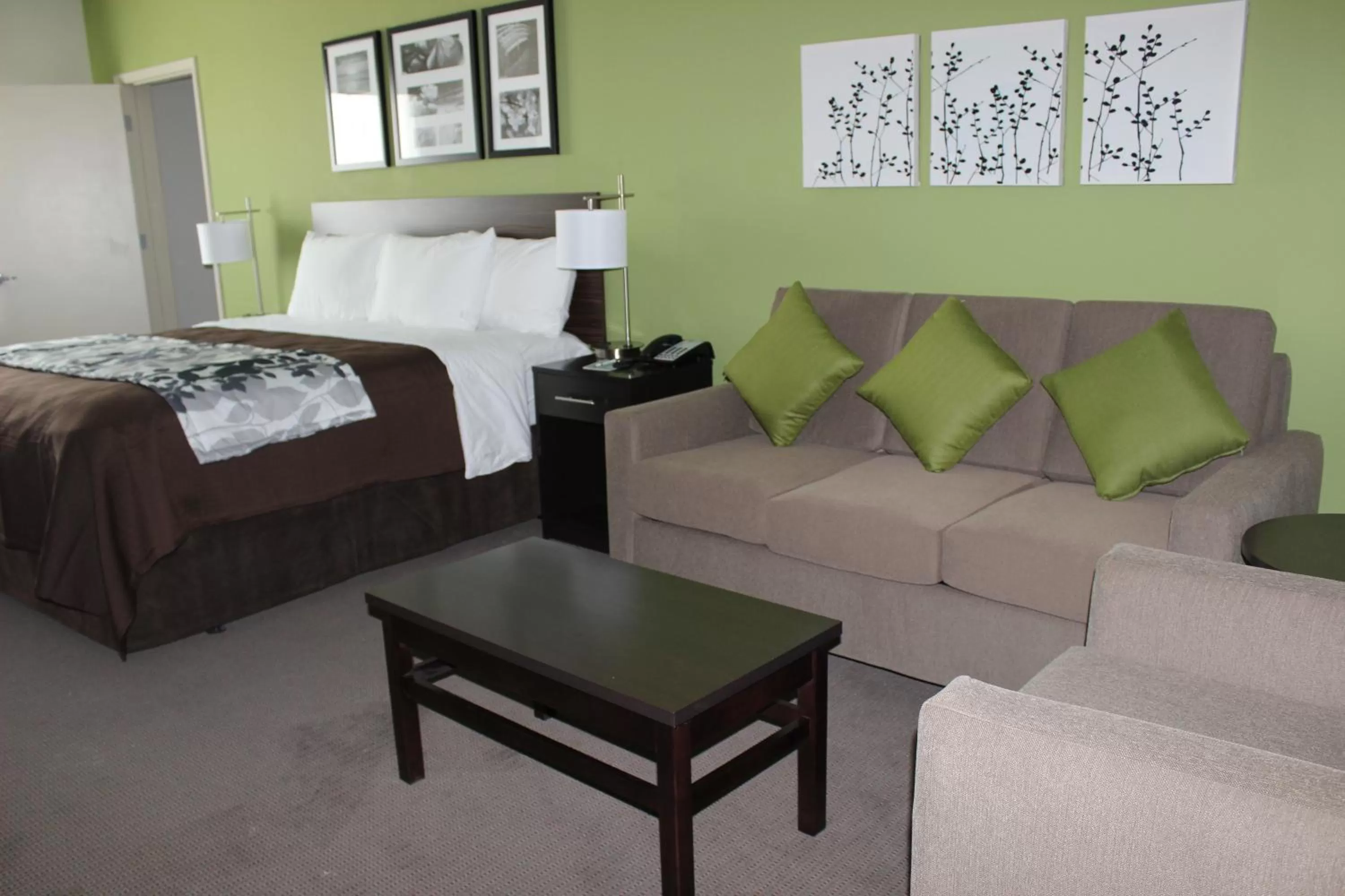 Bedroom, Bed in Sleep Inn & Suites Odessa near University