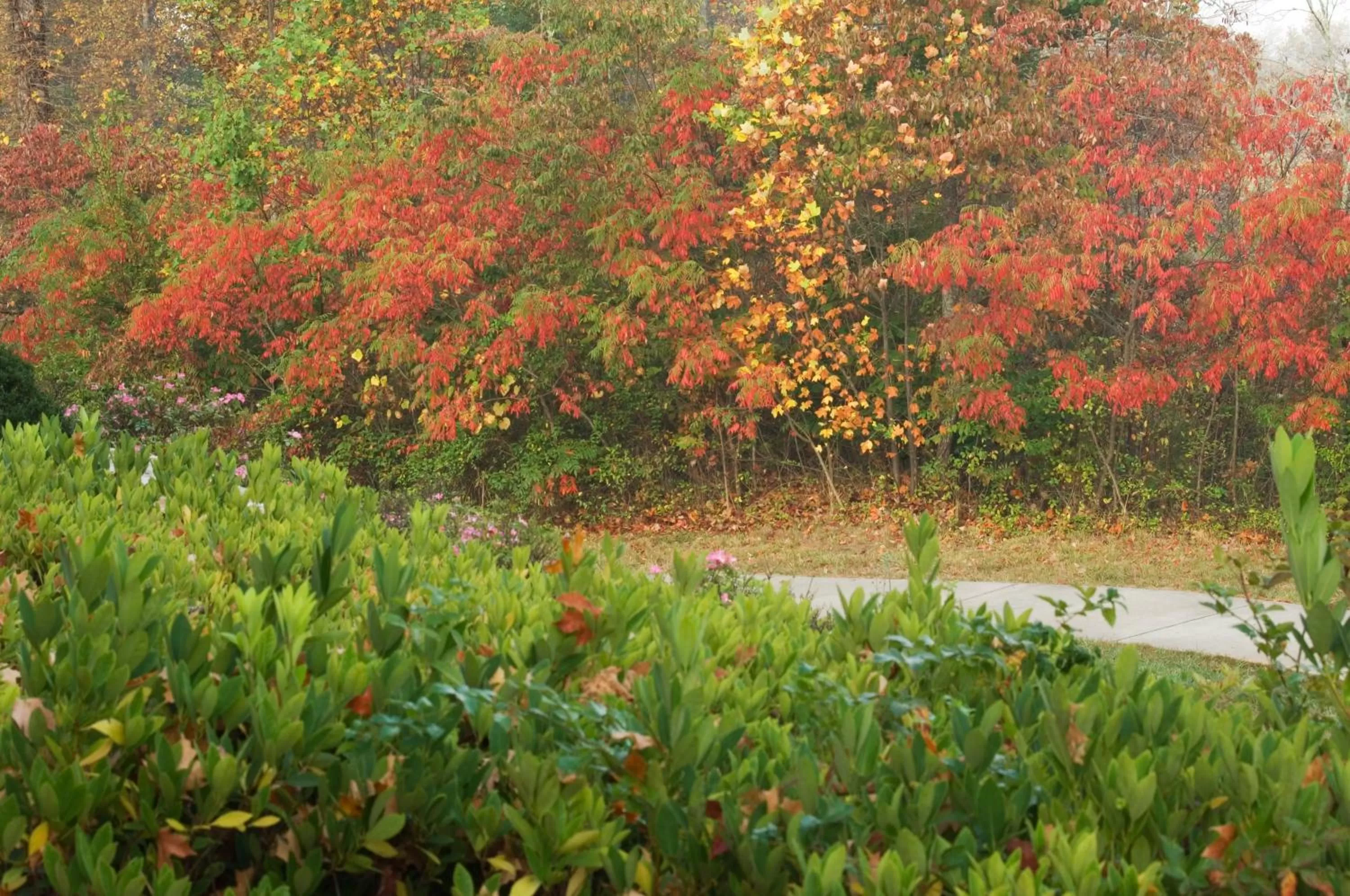 Hiking in Brasstown Valley Resort & Spa