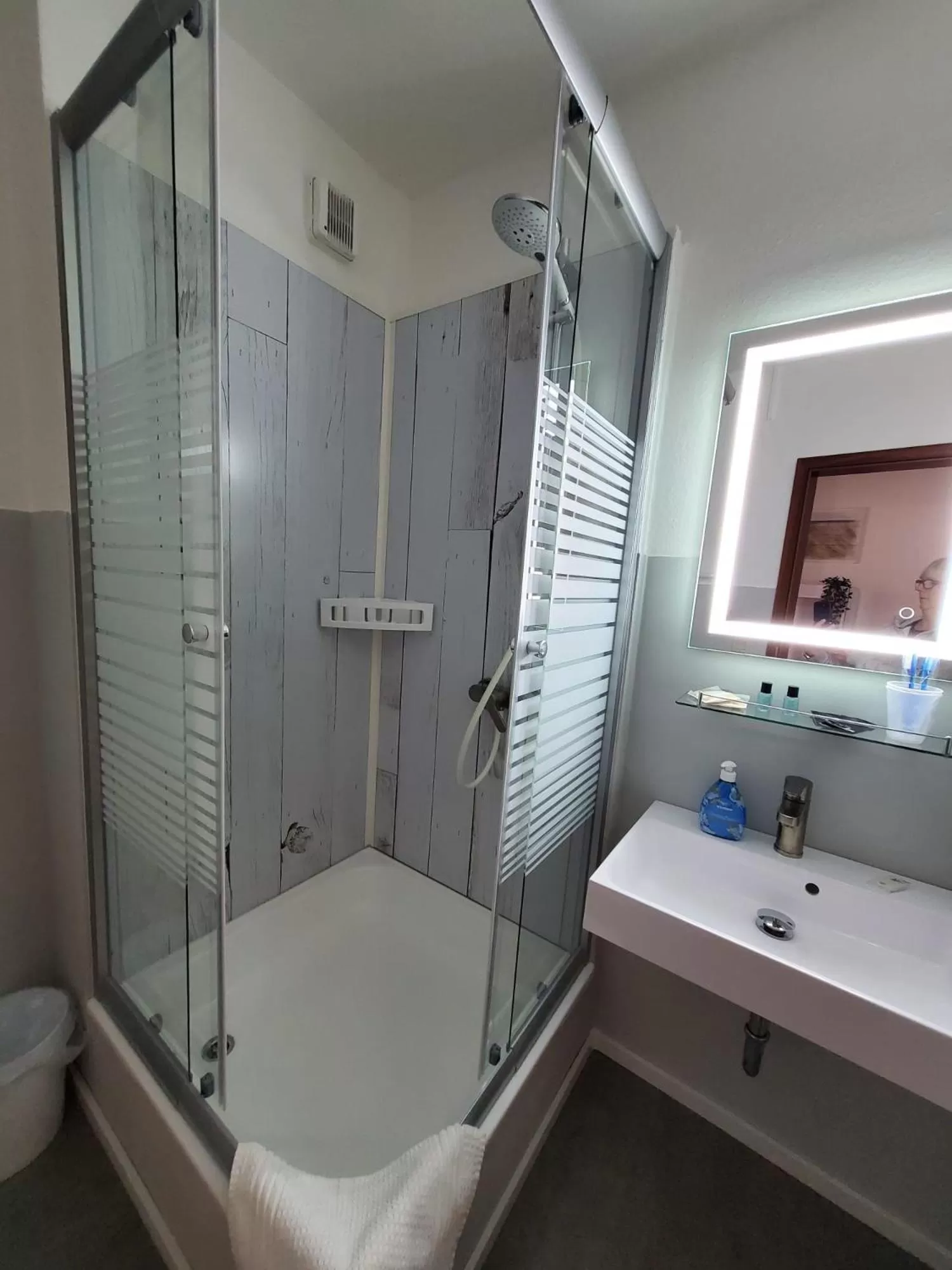 Toilet in Hotel Seeblick am Sankelmarker See - Natur und Erholung