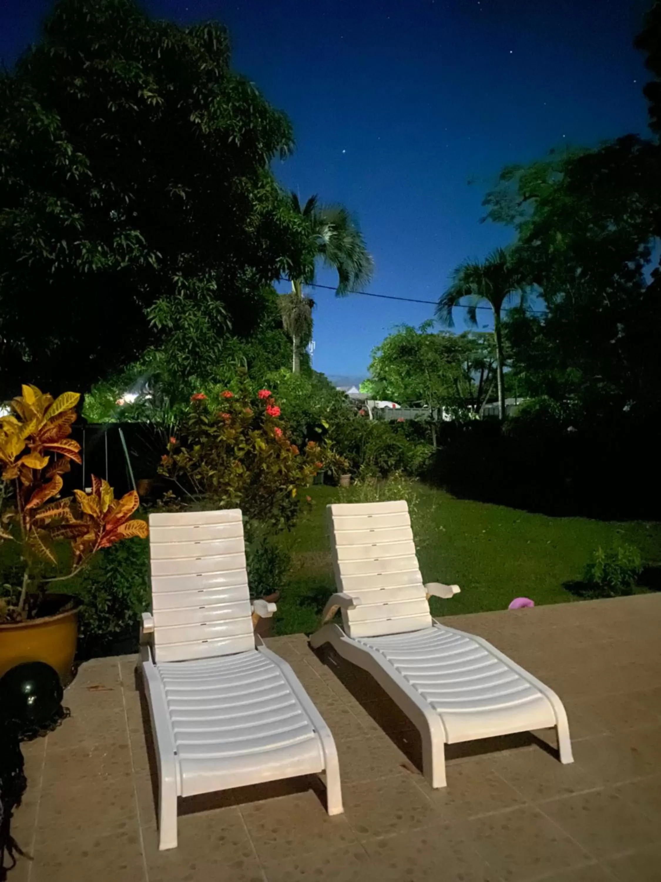 Garden in Hotel Santo Vanuatu