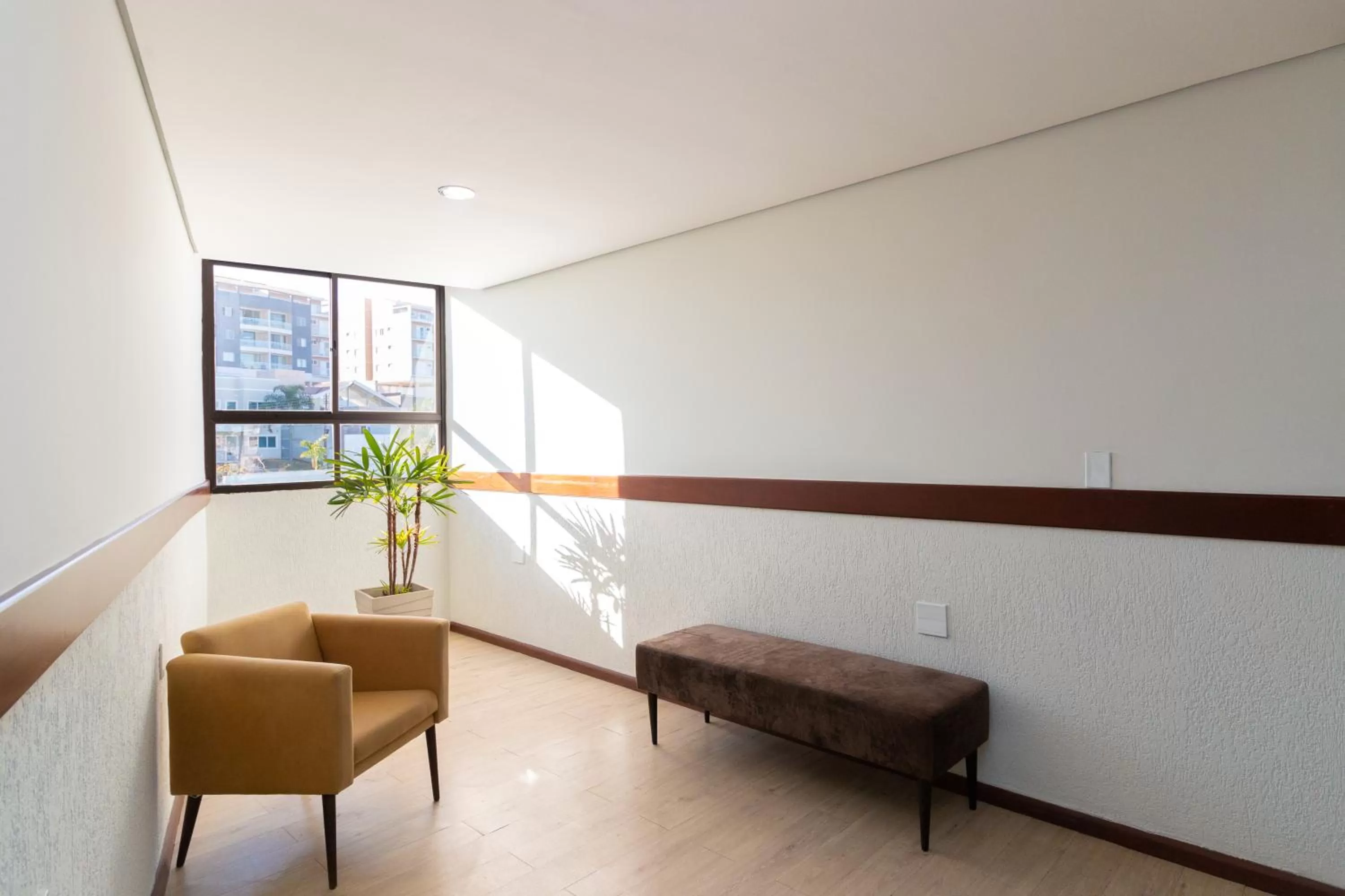 Entertainment in Bristol Zaniboni Mogi Mirim