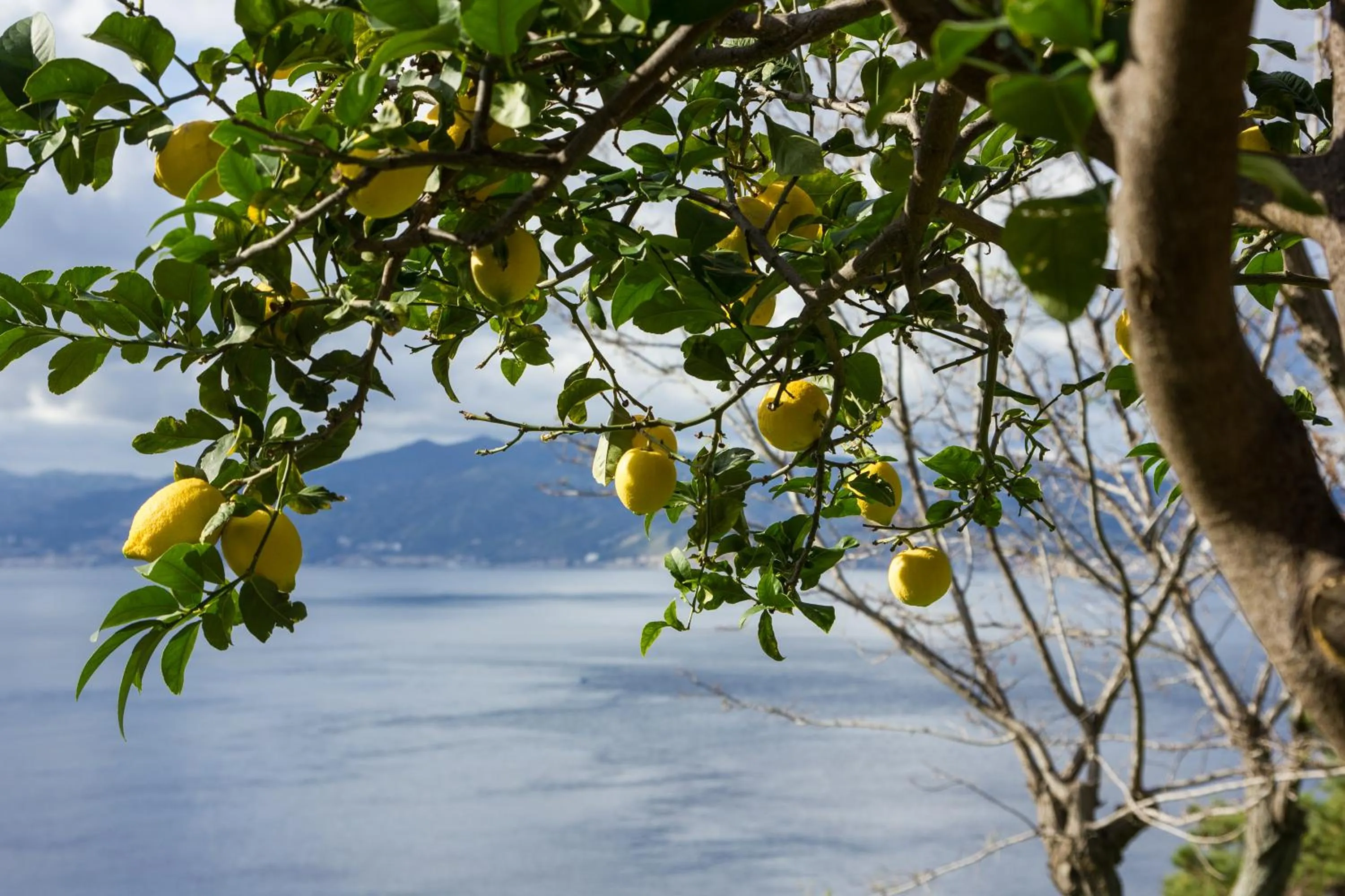 Spring in Altafiumara Resort & Spa