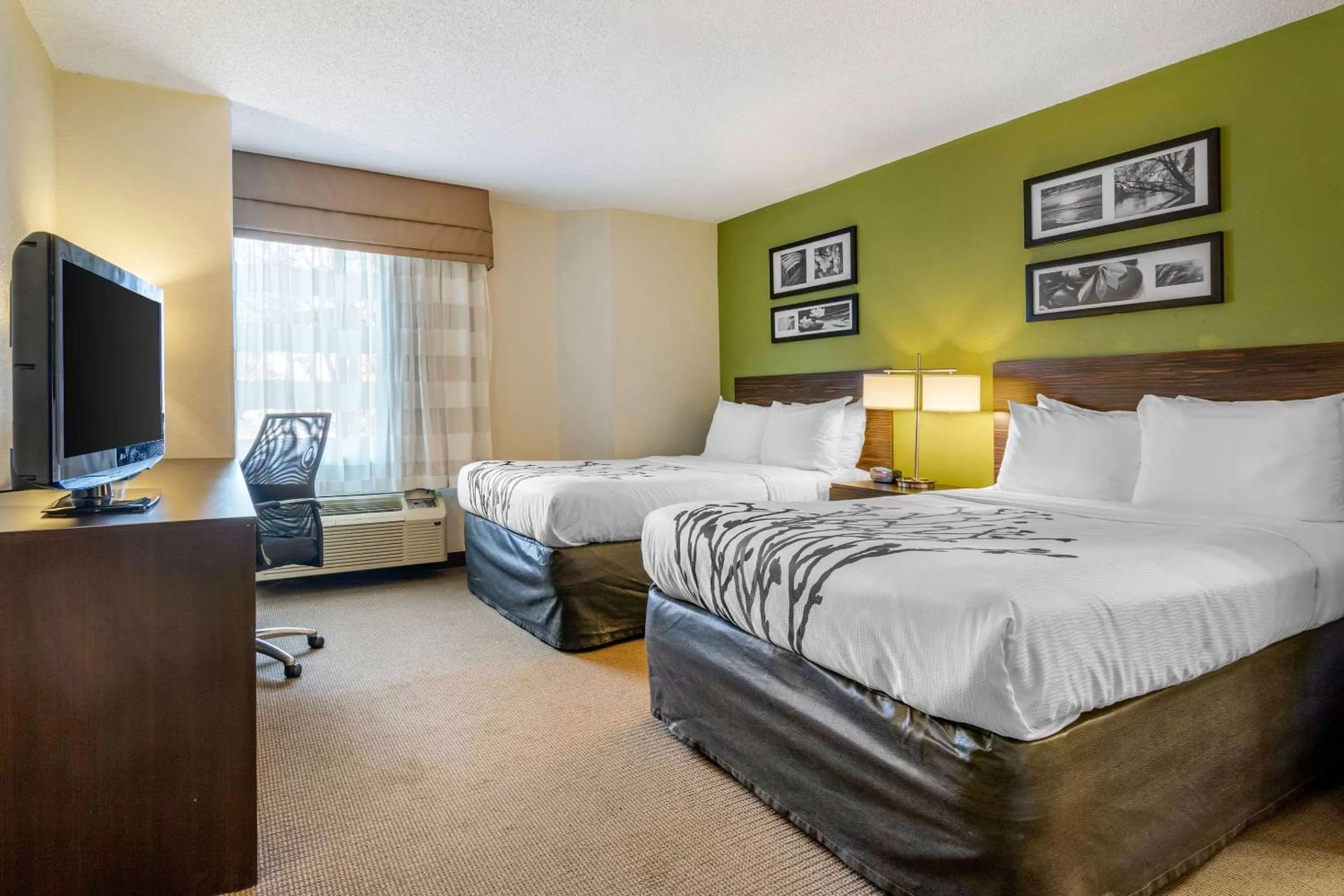 Photo of the whole room, Bed in Sleep Inn I-95 North Savannah