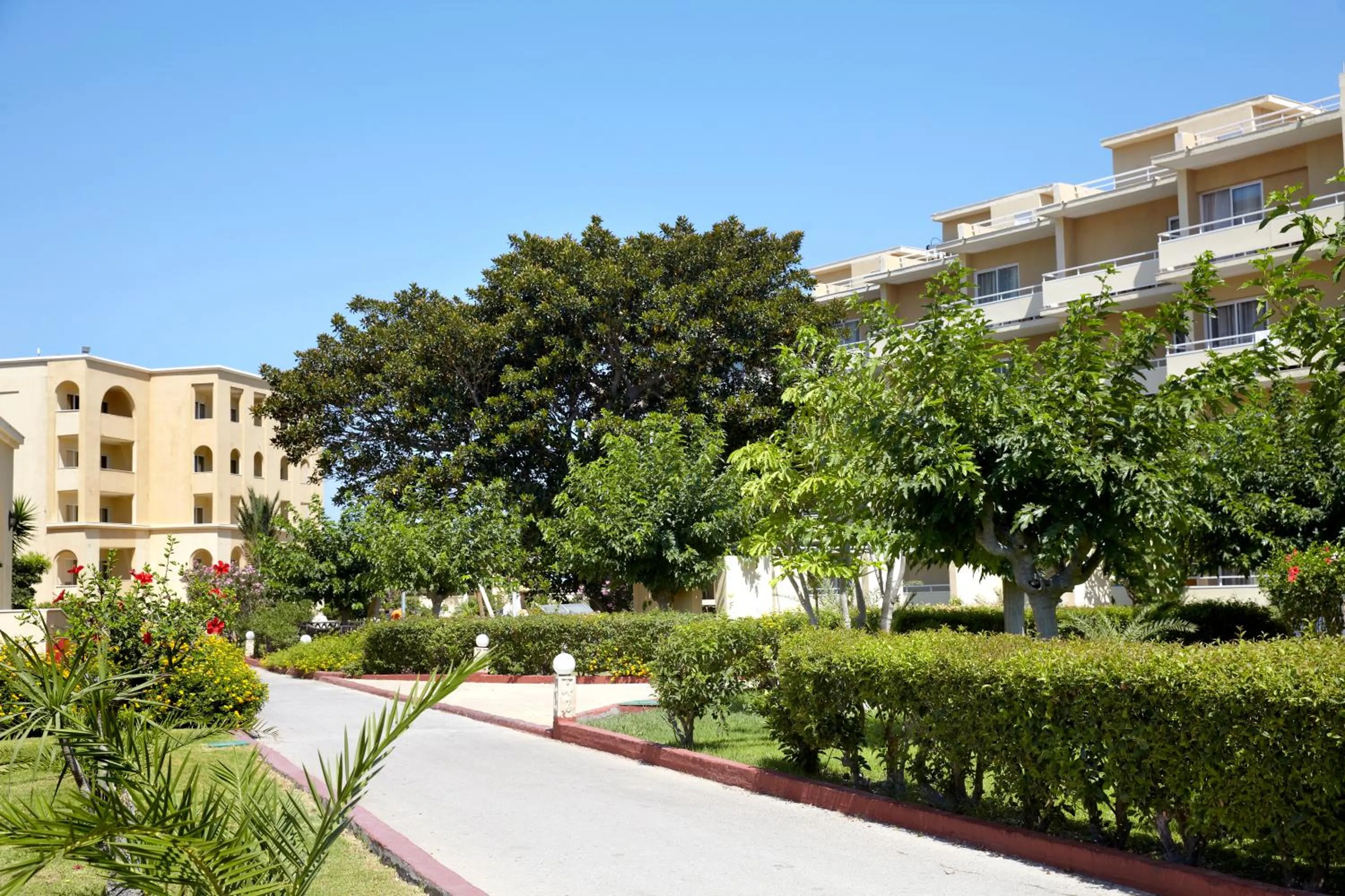 Property building in Sunshine Rhodes