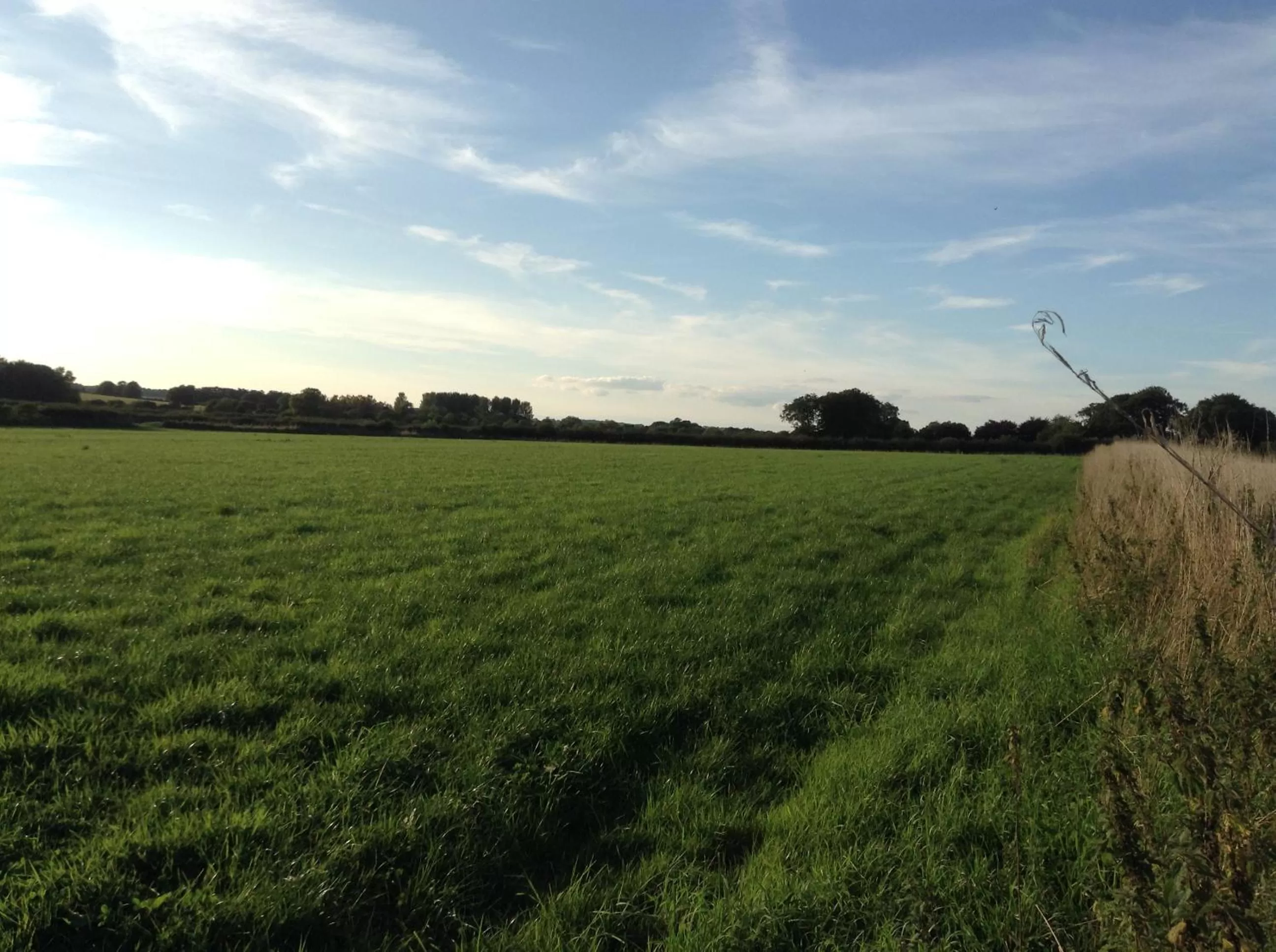 Natural Landscape in B&B Dorwyn Manor