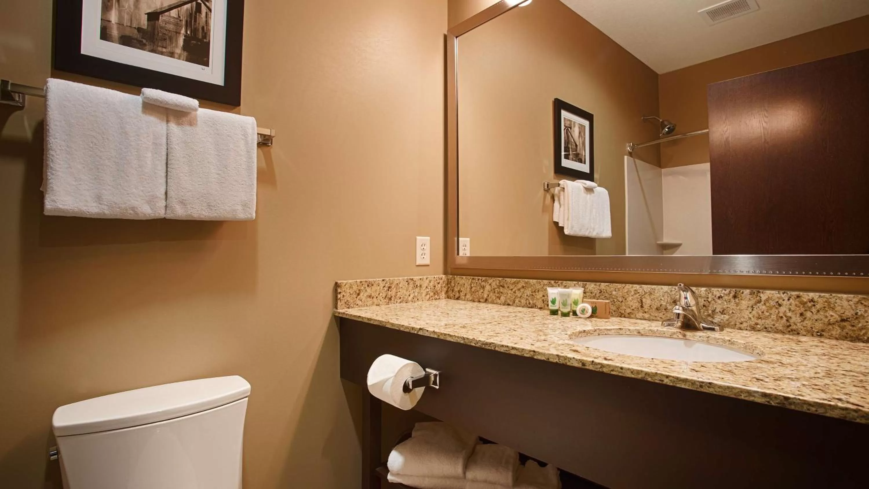 Queen Room - Mobility Accessible/Non-Smoking in Best Western Plus Night Watchman Inn & Suites