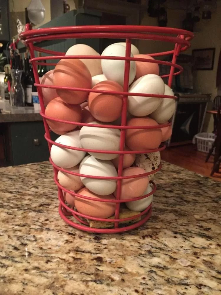 Other in The Inn at Stony Creek