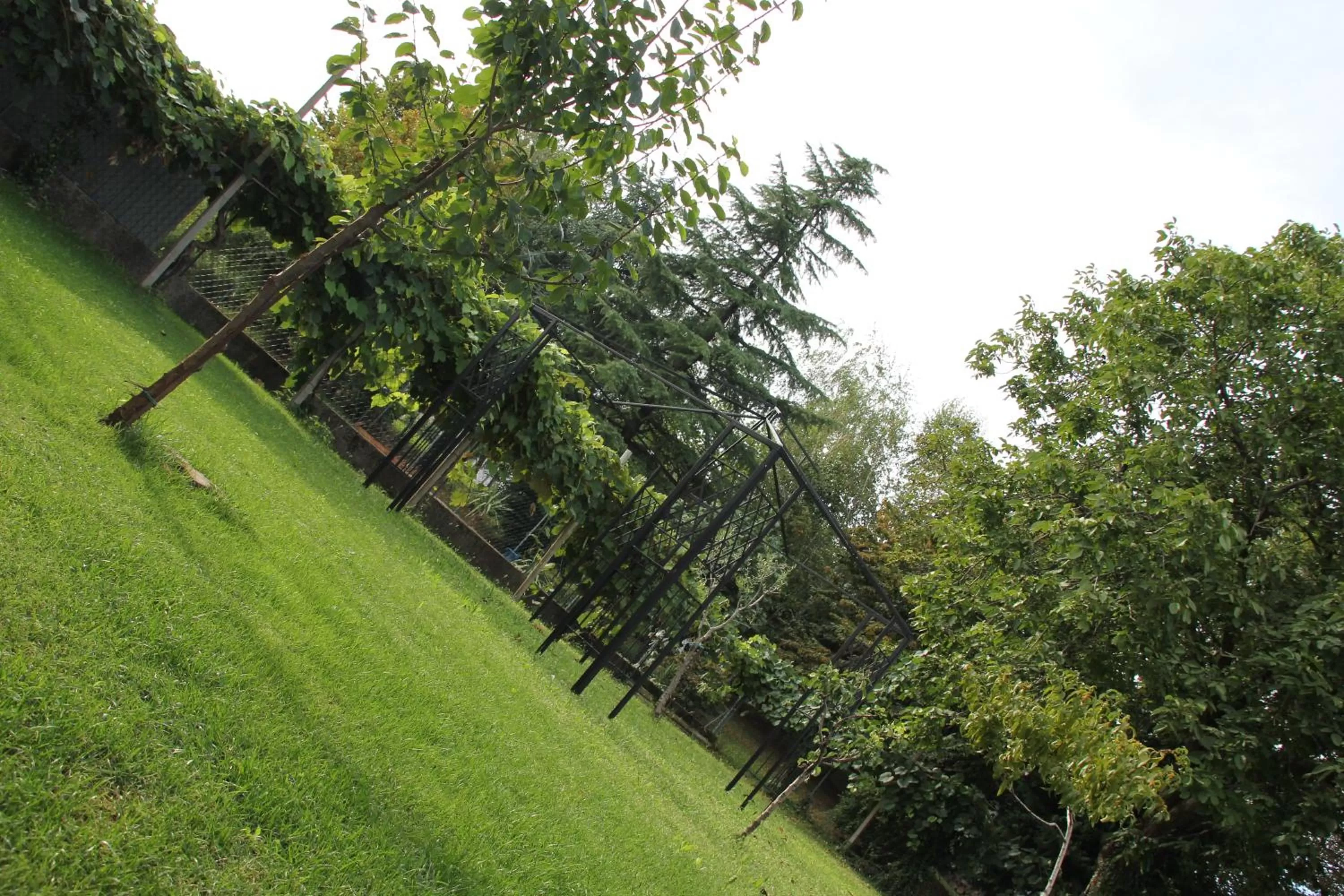 Property building in Casa Pellis