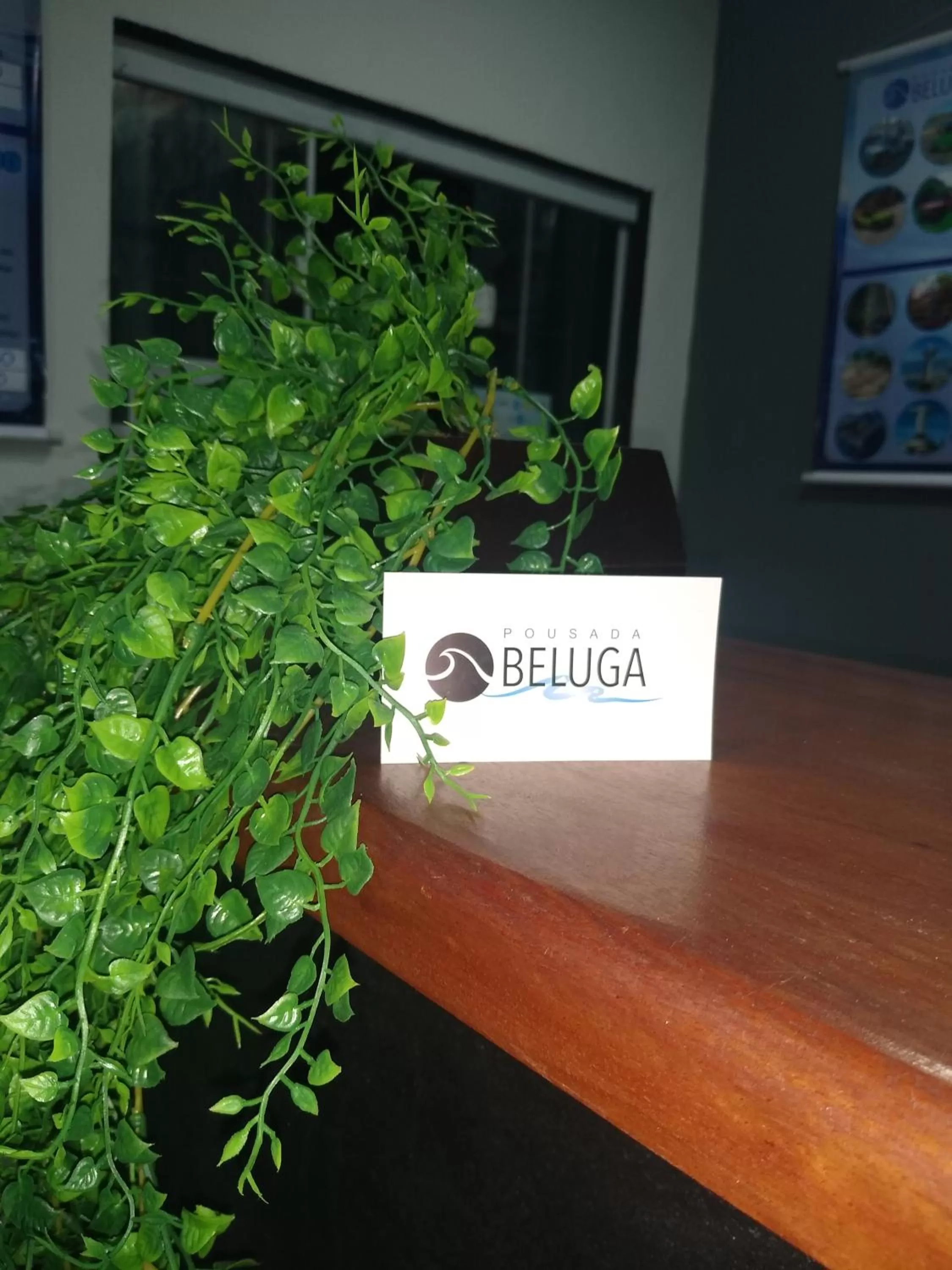 Pousada Beluga