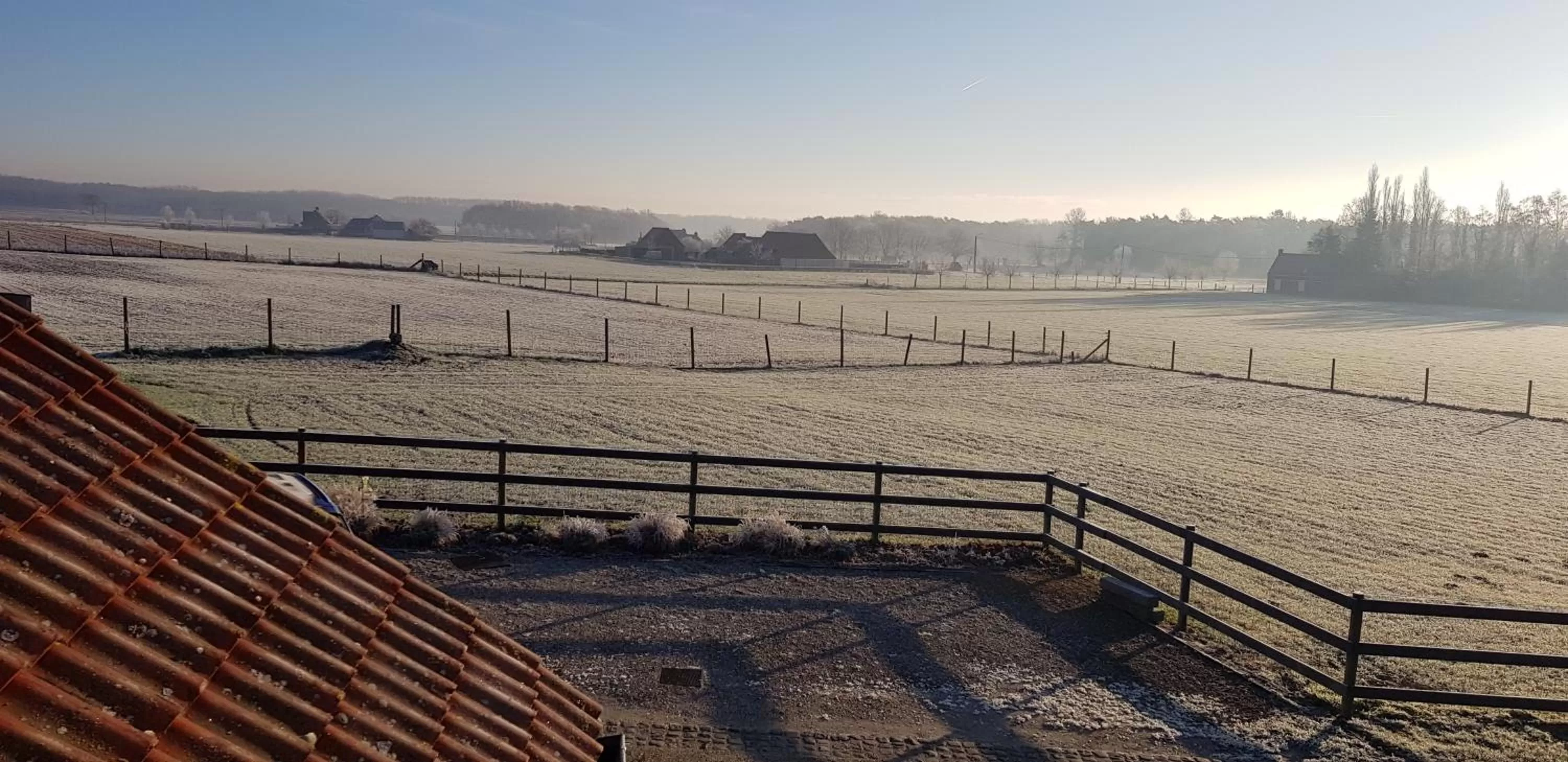 Garden, Swimming Pool in Ruidenberg