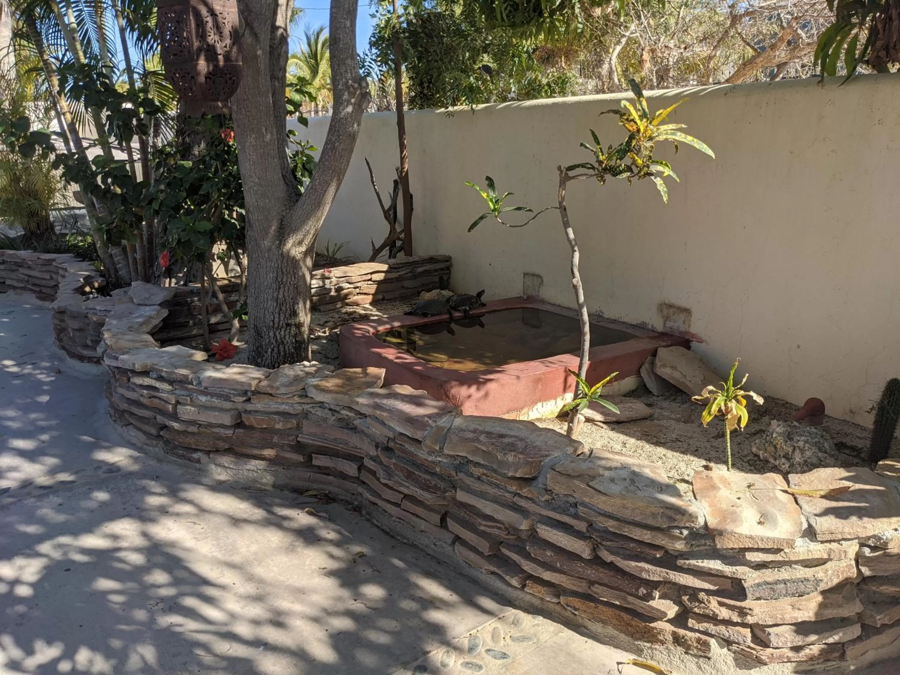 Garden in Hacienda De Palmas