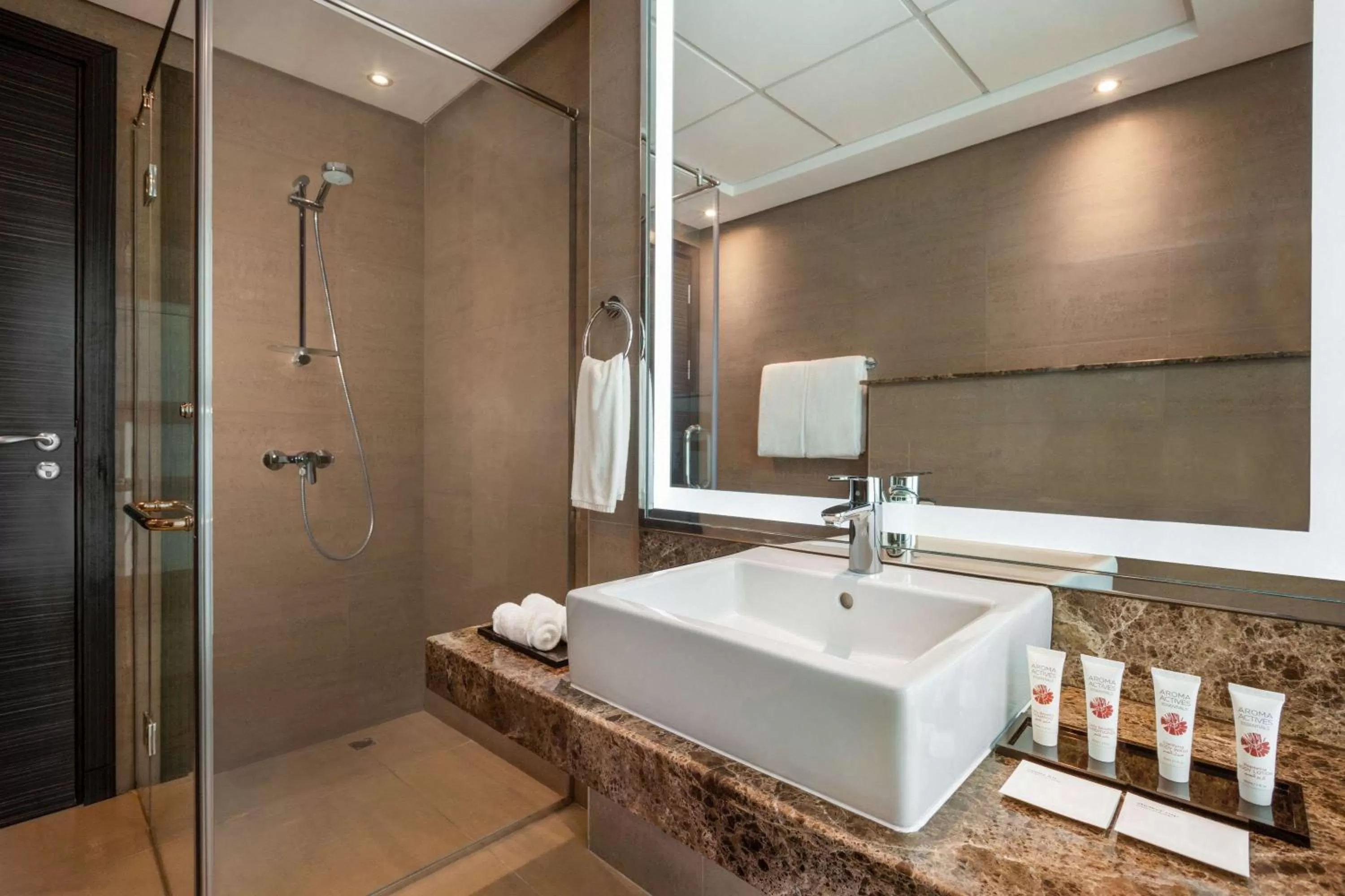 Shower in Ramada by Wyndham Manama City Centre
