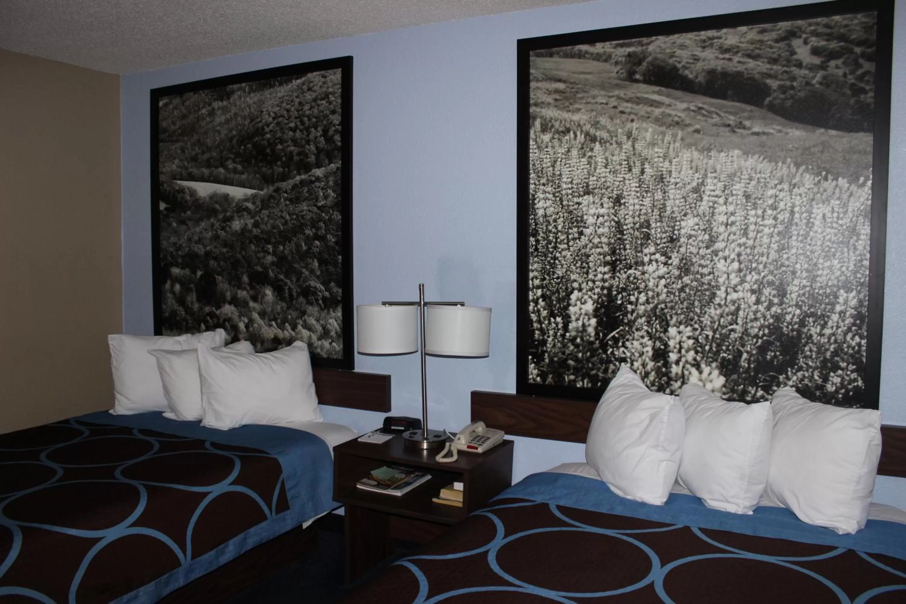 Bed in Super 8 by Wyndham East Stroudsburg - Poconos