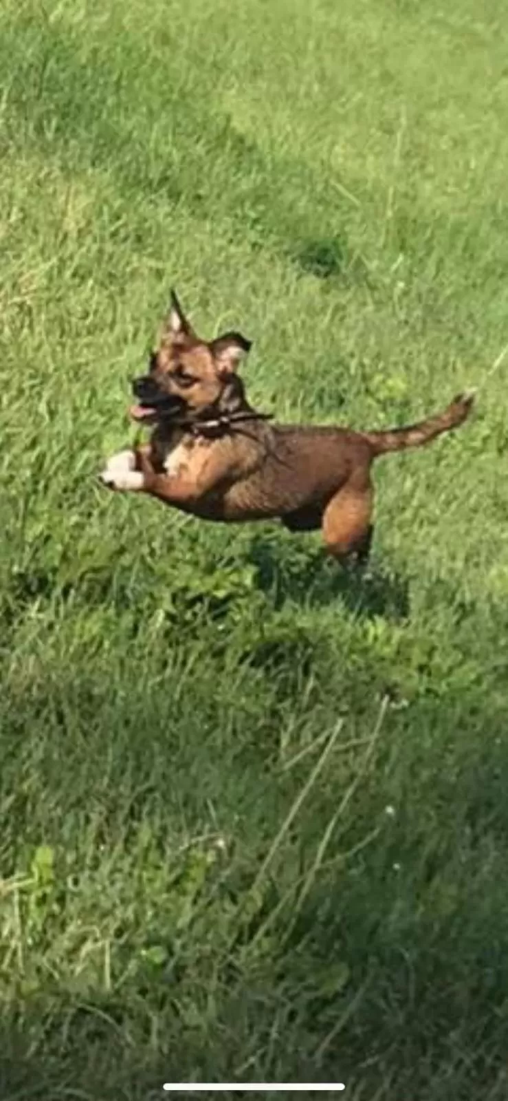 Activities in The Carew Arms