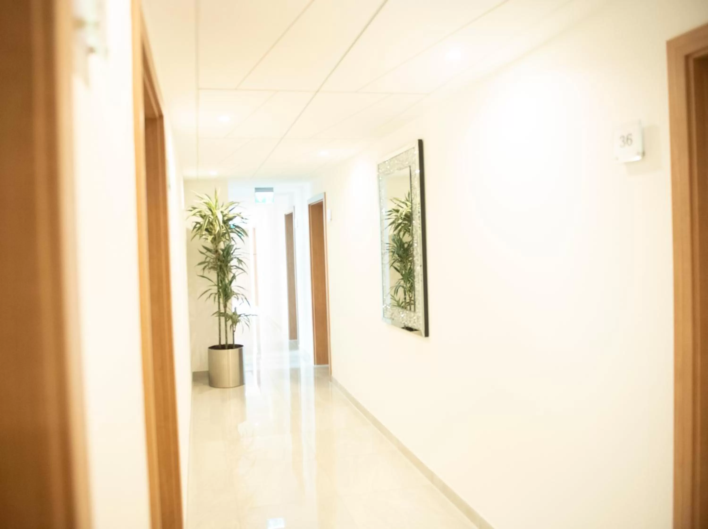 Property building in Stadthotel Giengen