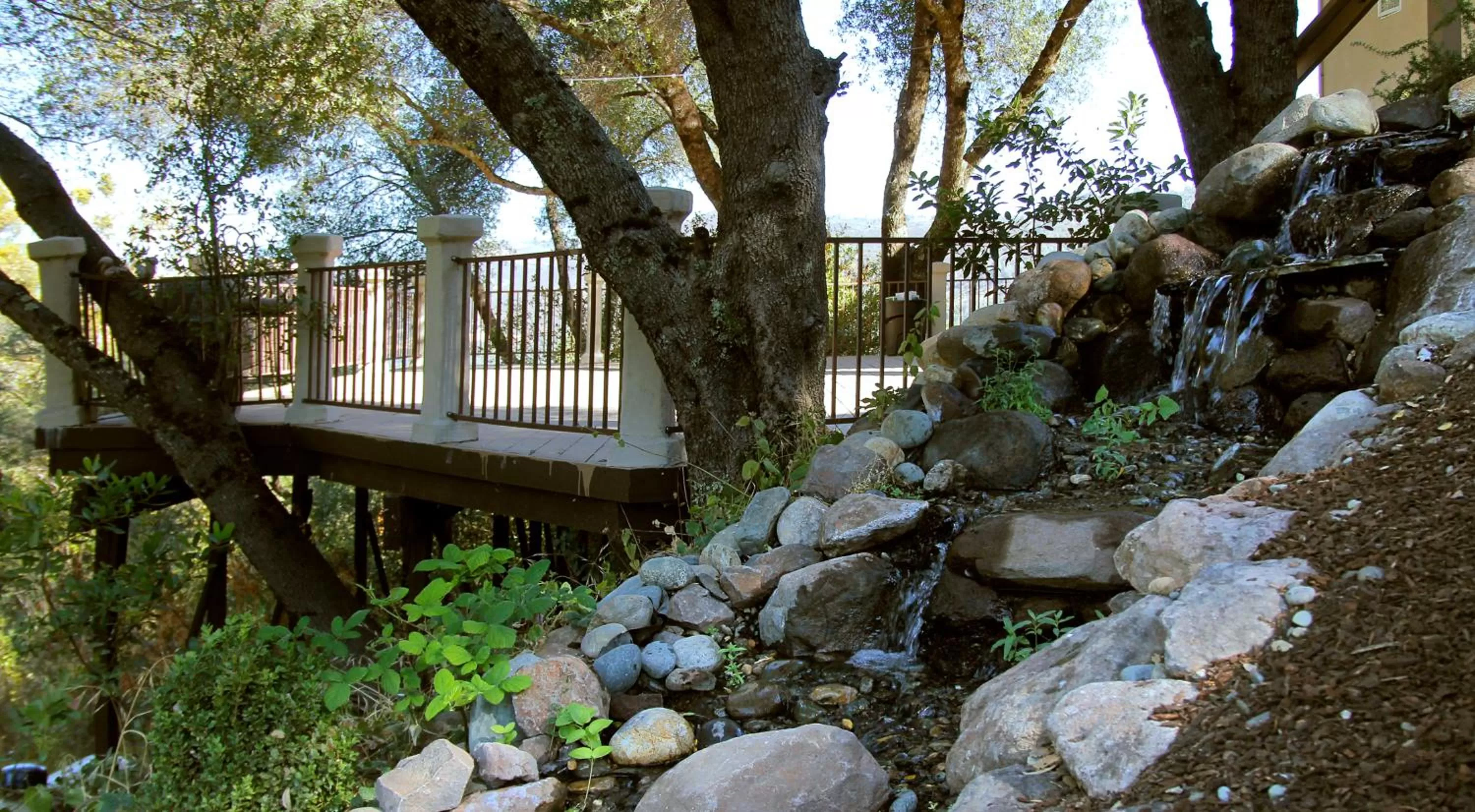 Garden, Property Building in Bella Vista Bed and Breakfast