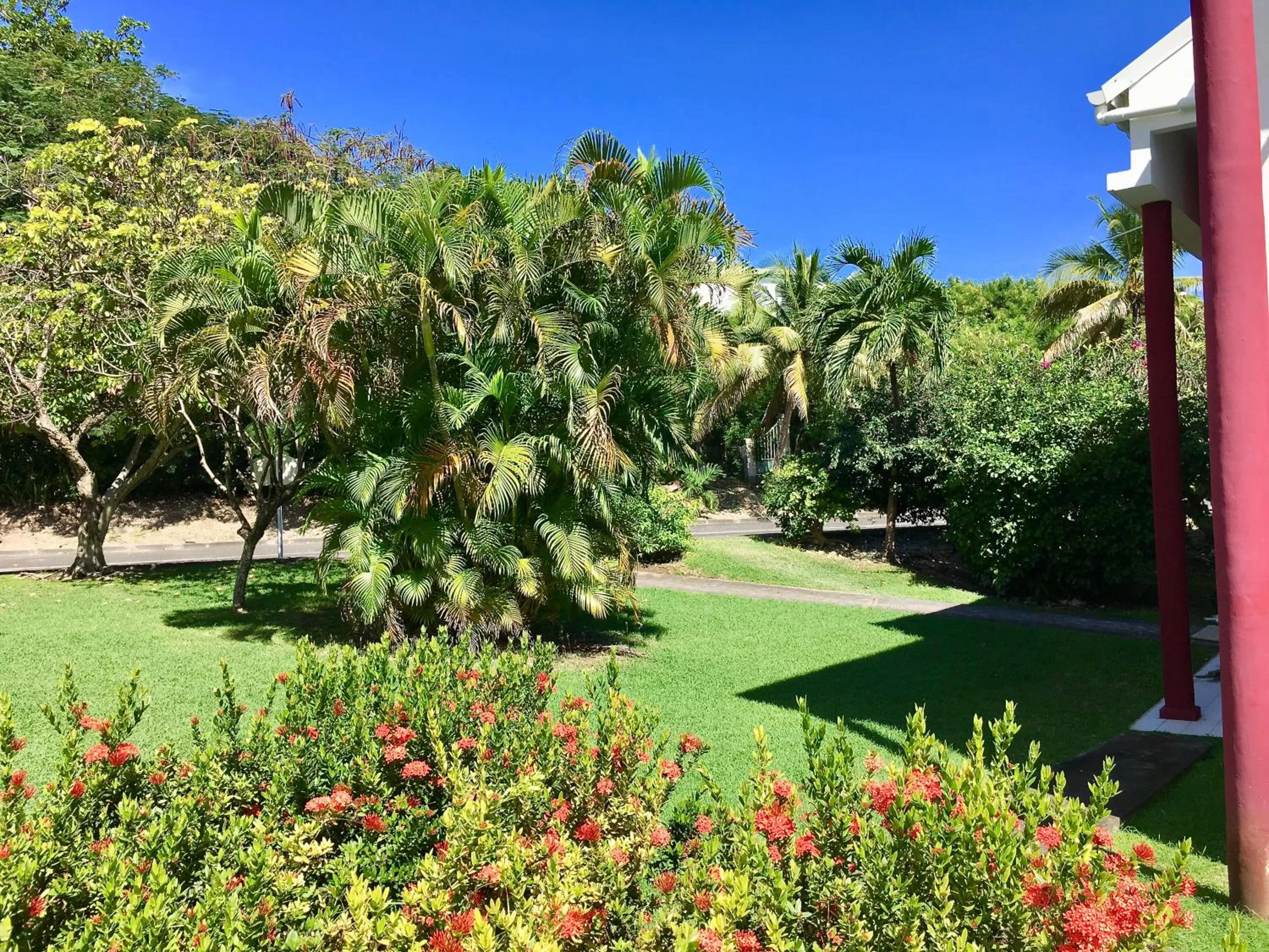 Garden in Résidence Le Vallon Guadeloupe Parc Piscine Appartements & Studios