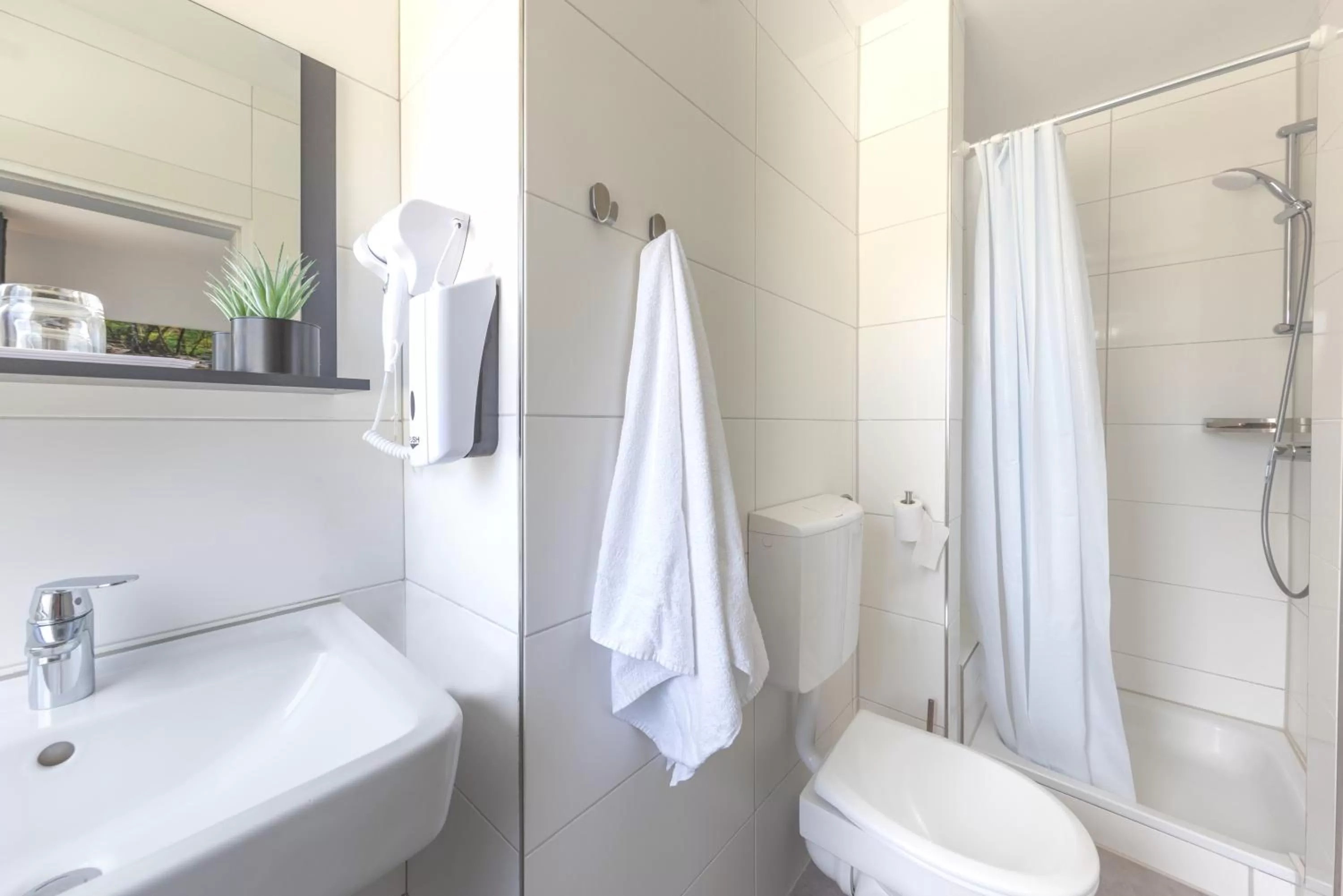 Shower in Dreams Beckum