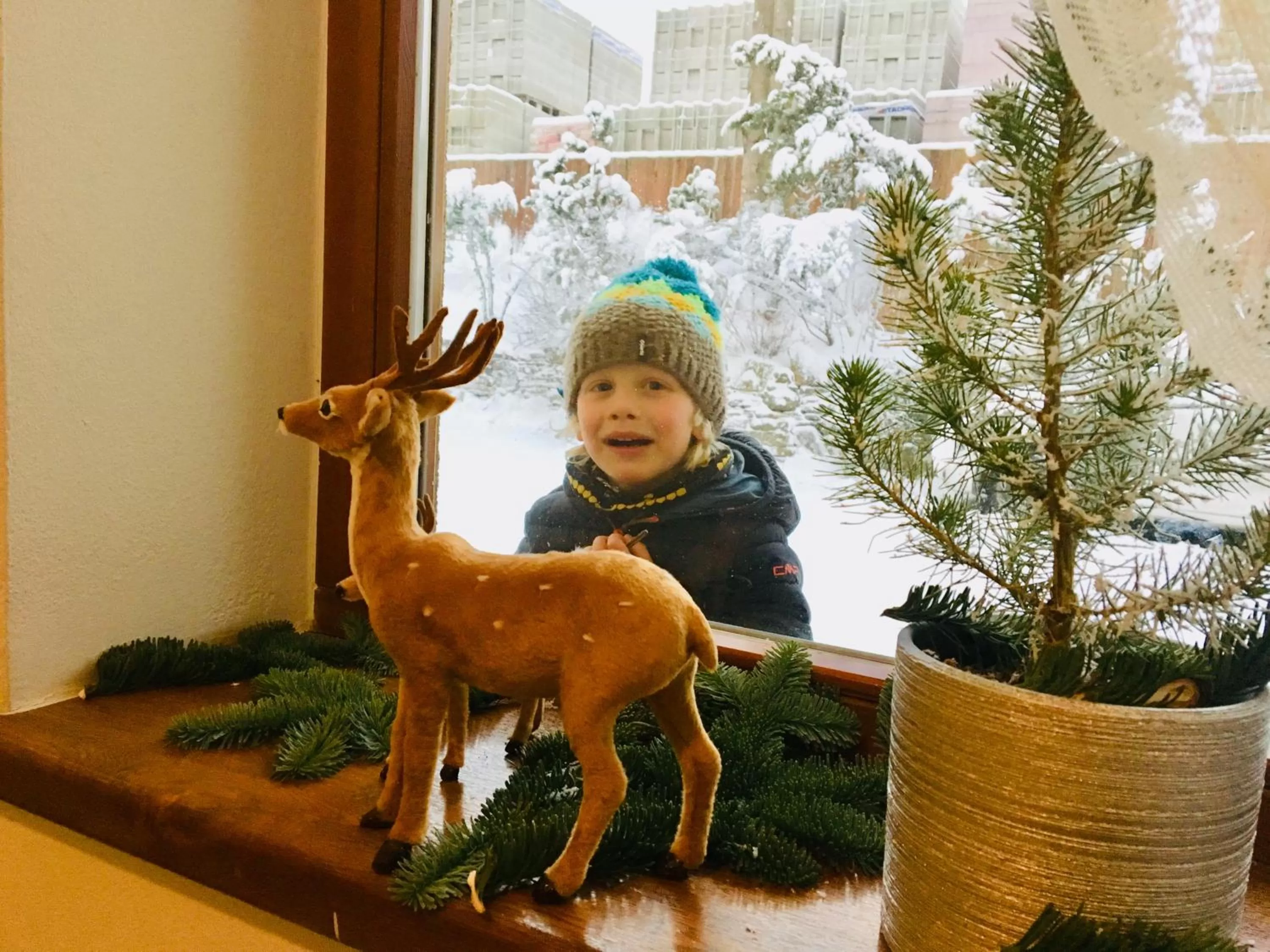 Property building in Zakopane Stop