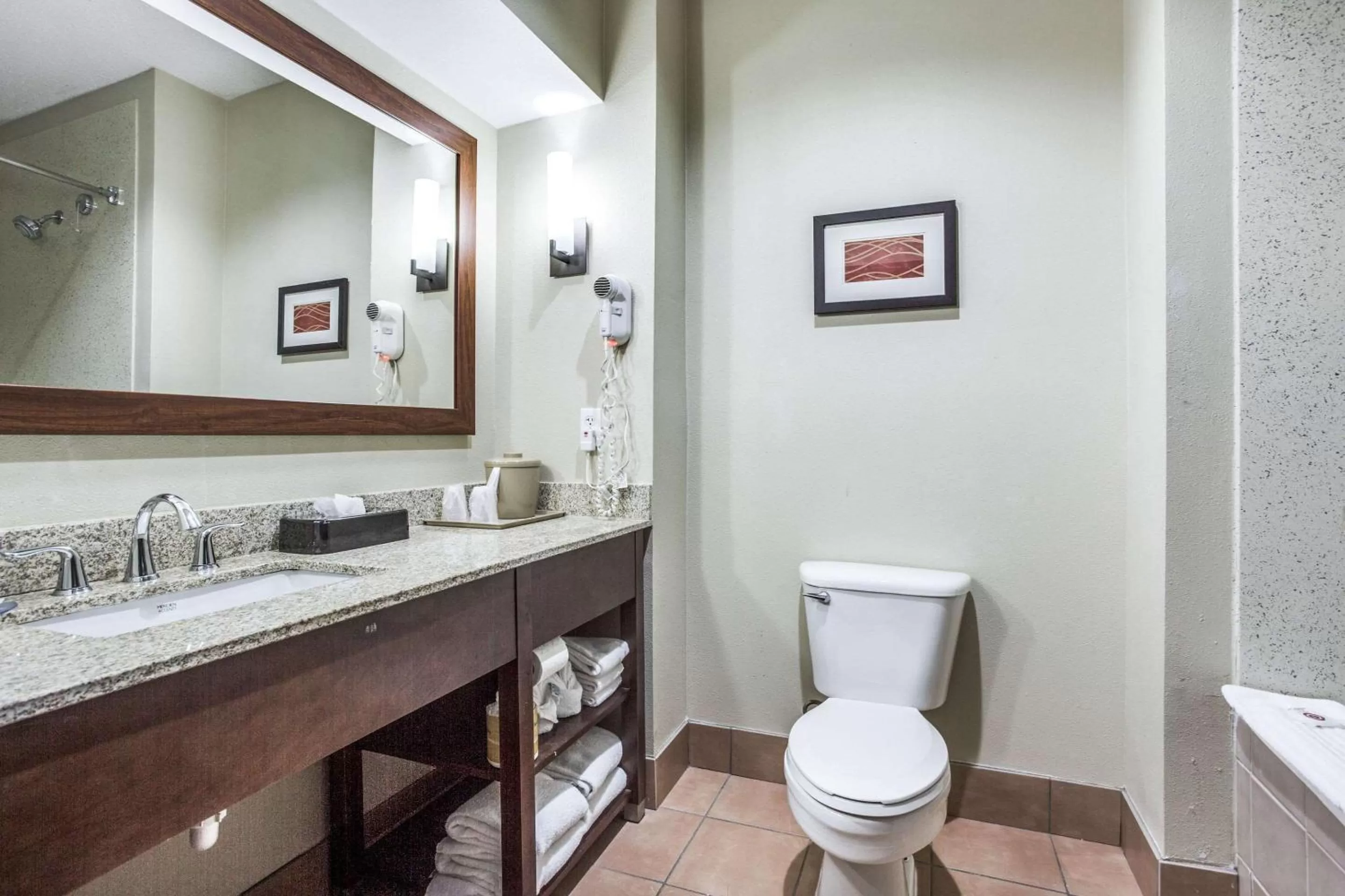 Bathroom in Comfort Inn & Suites Love Field-Dallas Market Center